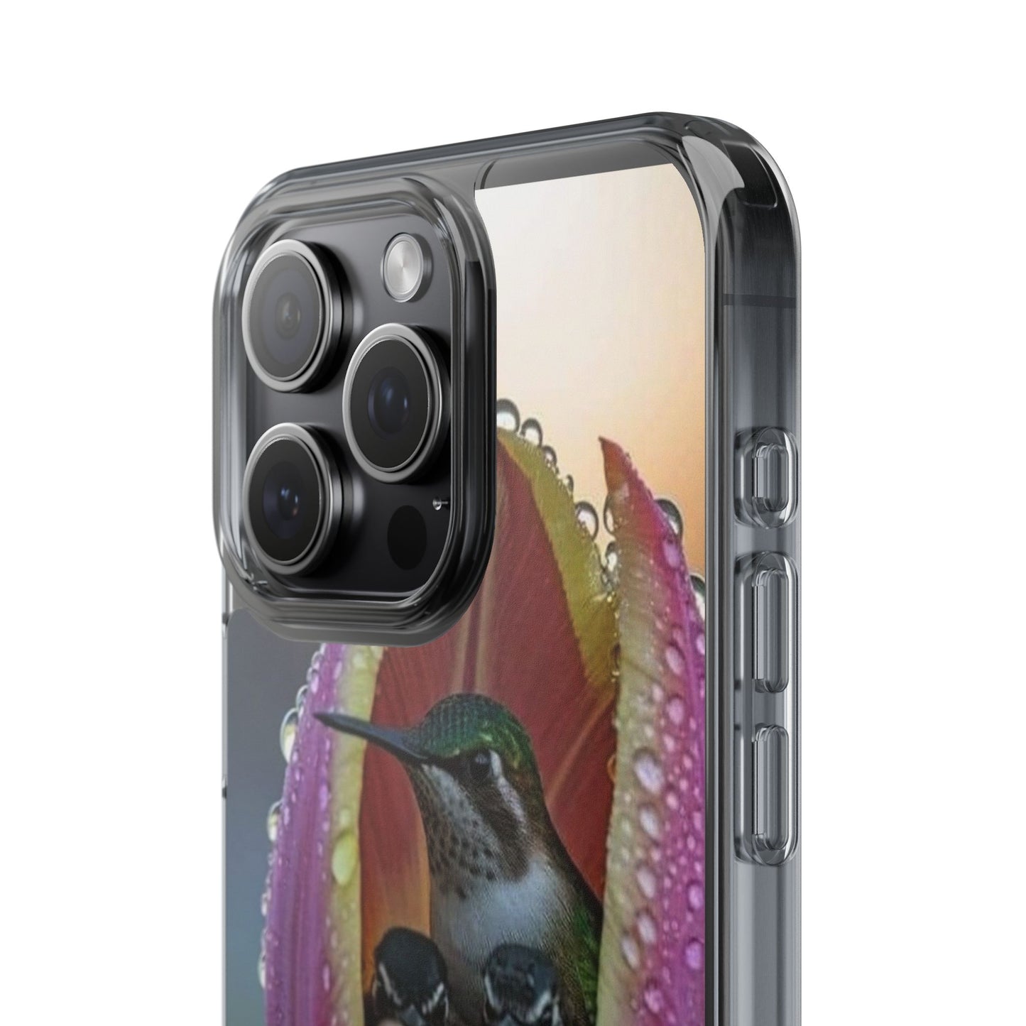 Clear Cases S93