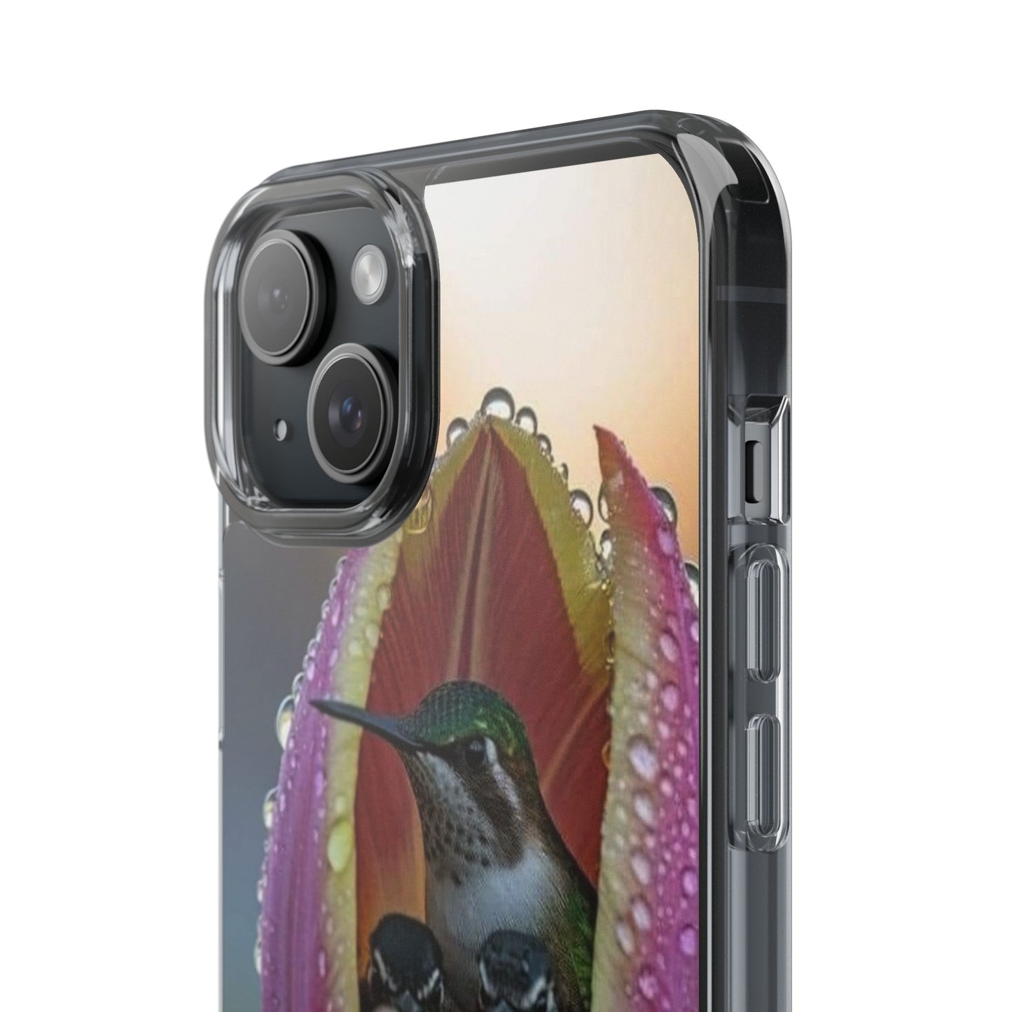 Clear Cases S93