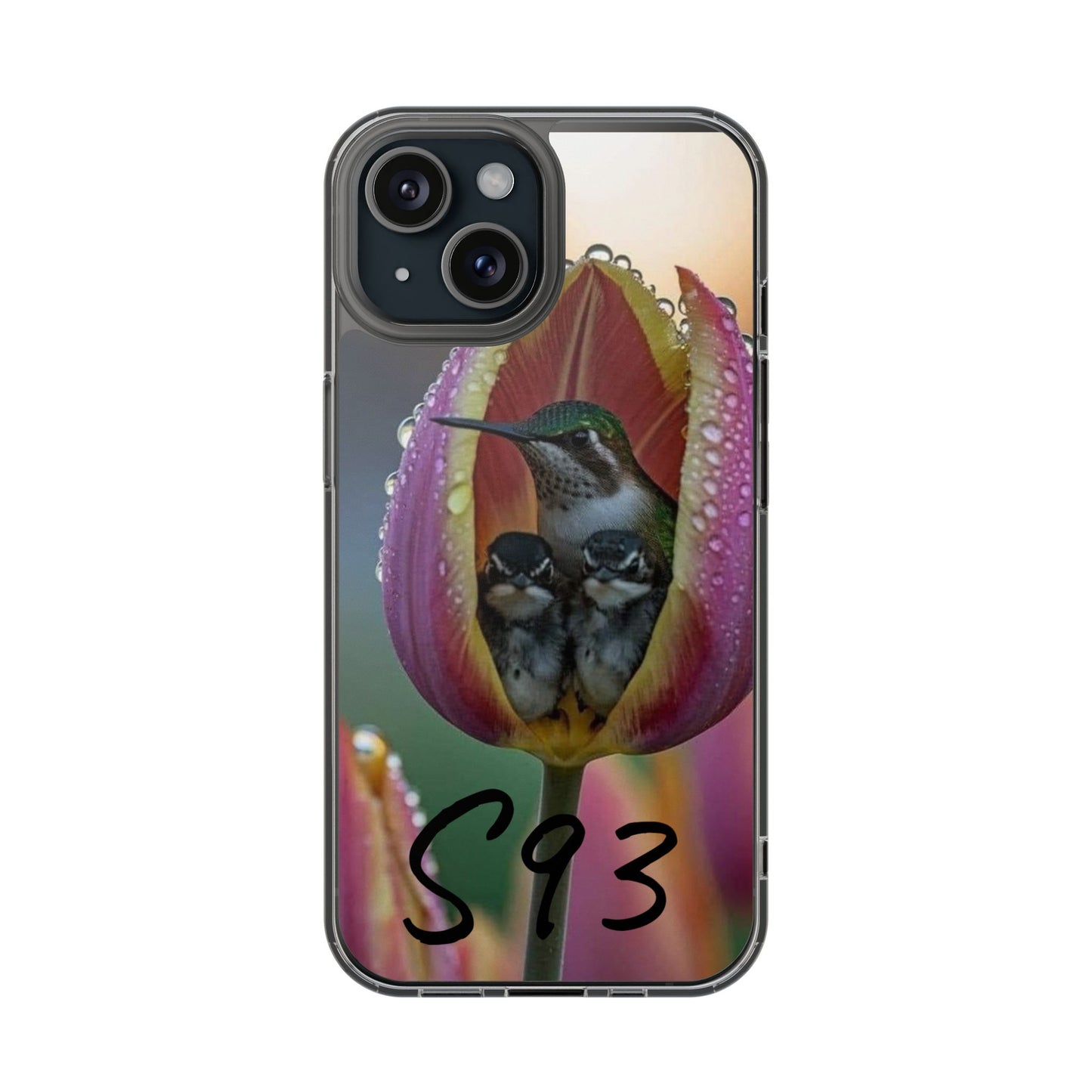 Clear Cases S93