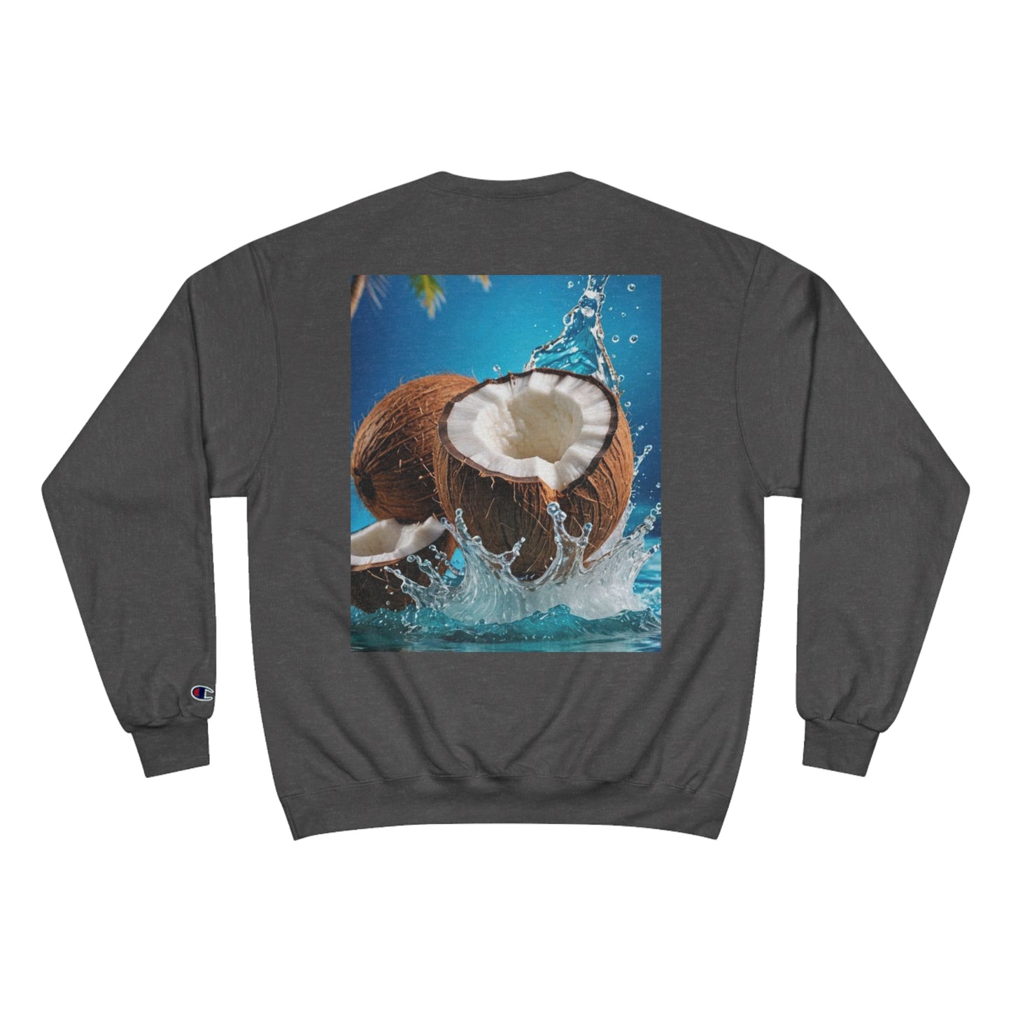 Champion Sweatshirt SUD93