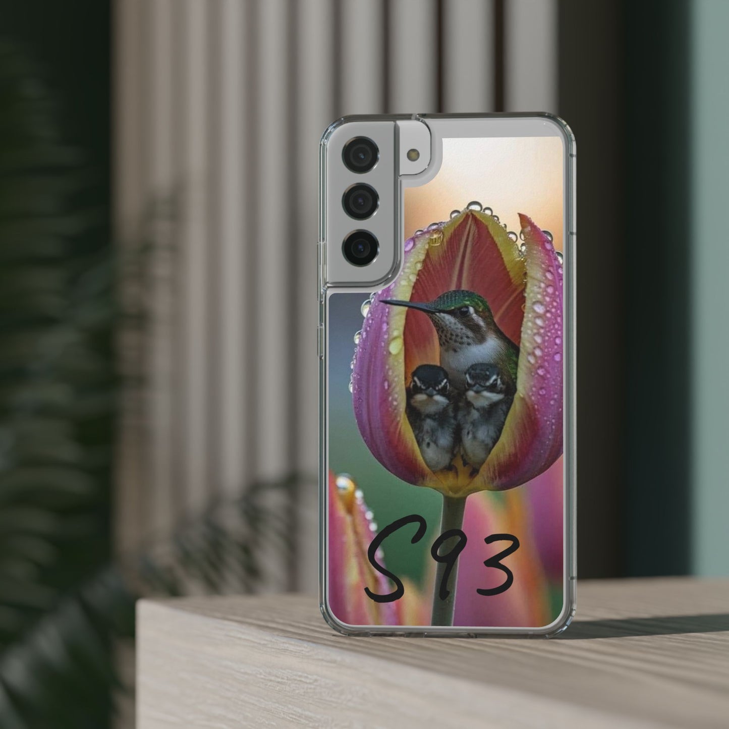 Clear Cases S93