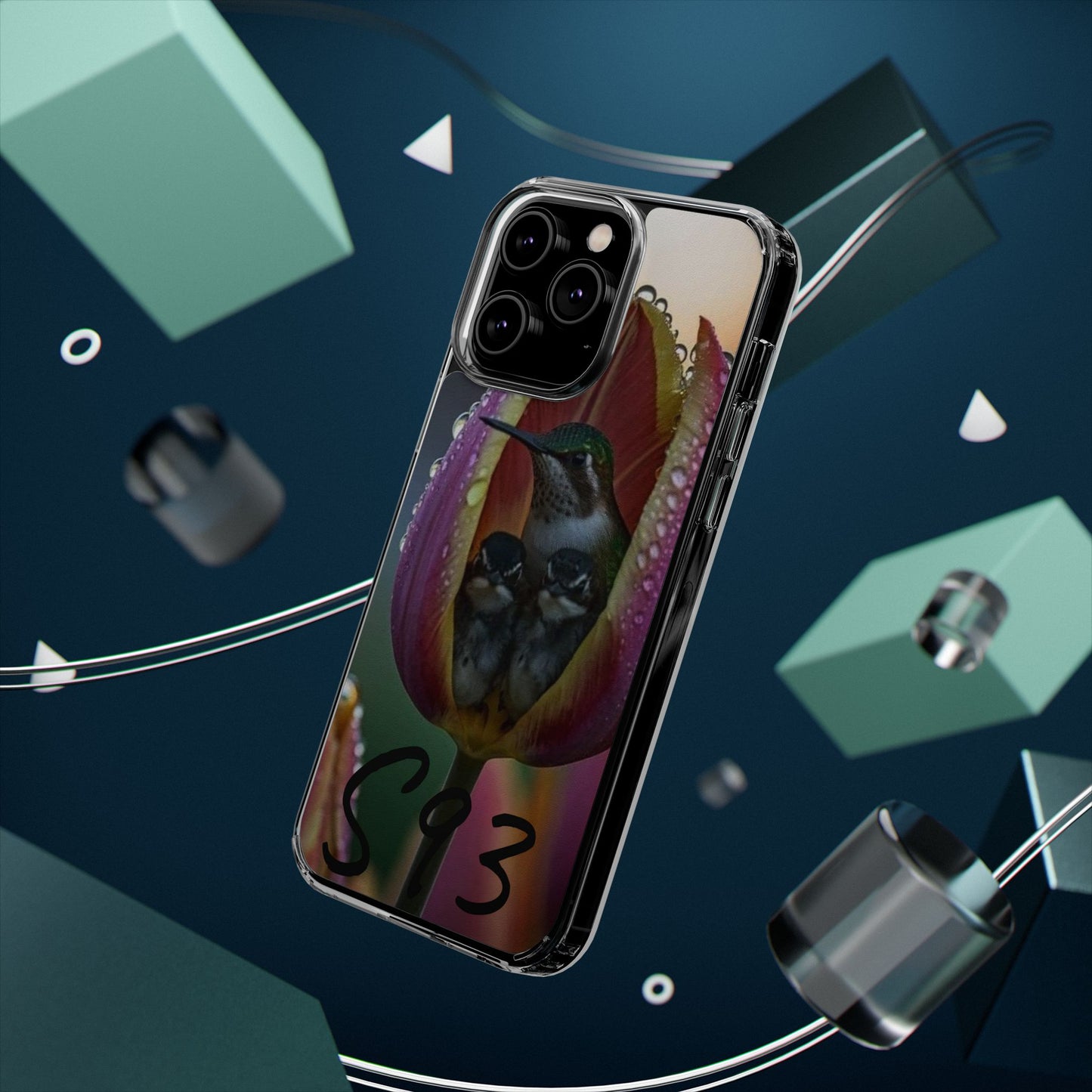 Clear Cases S93