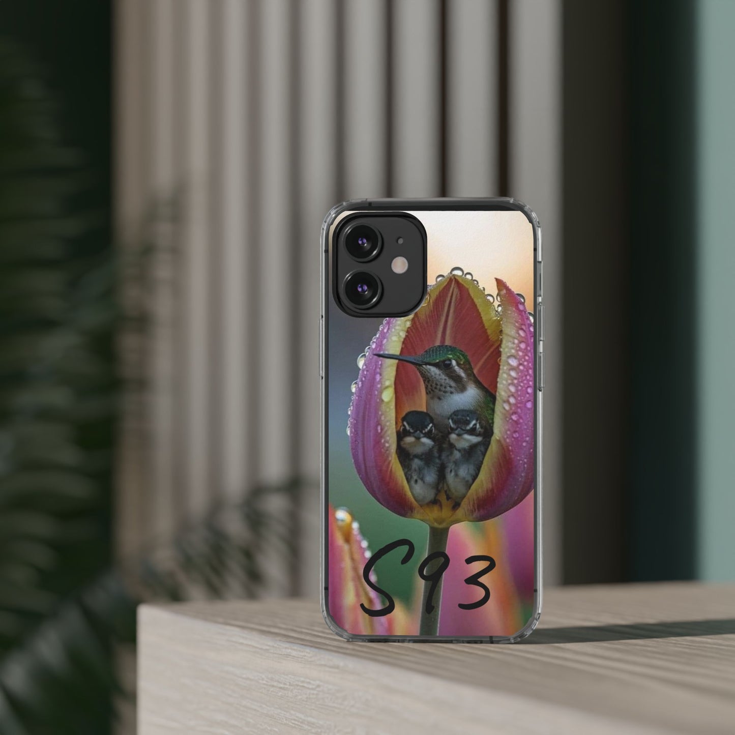 Clear Cases S93