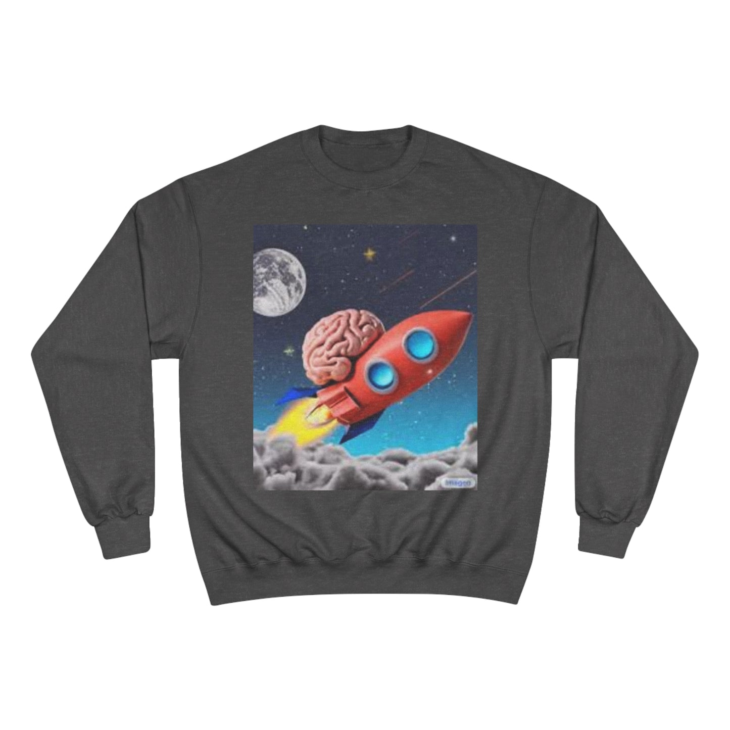 Champion Sweatshirt S93