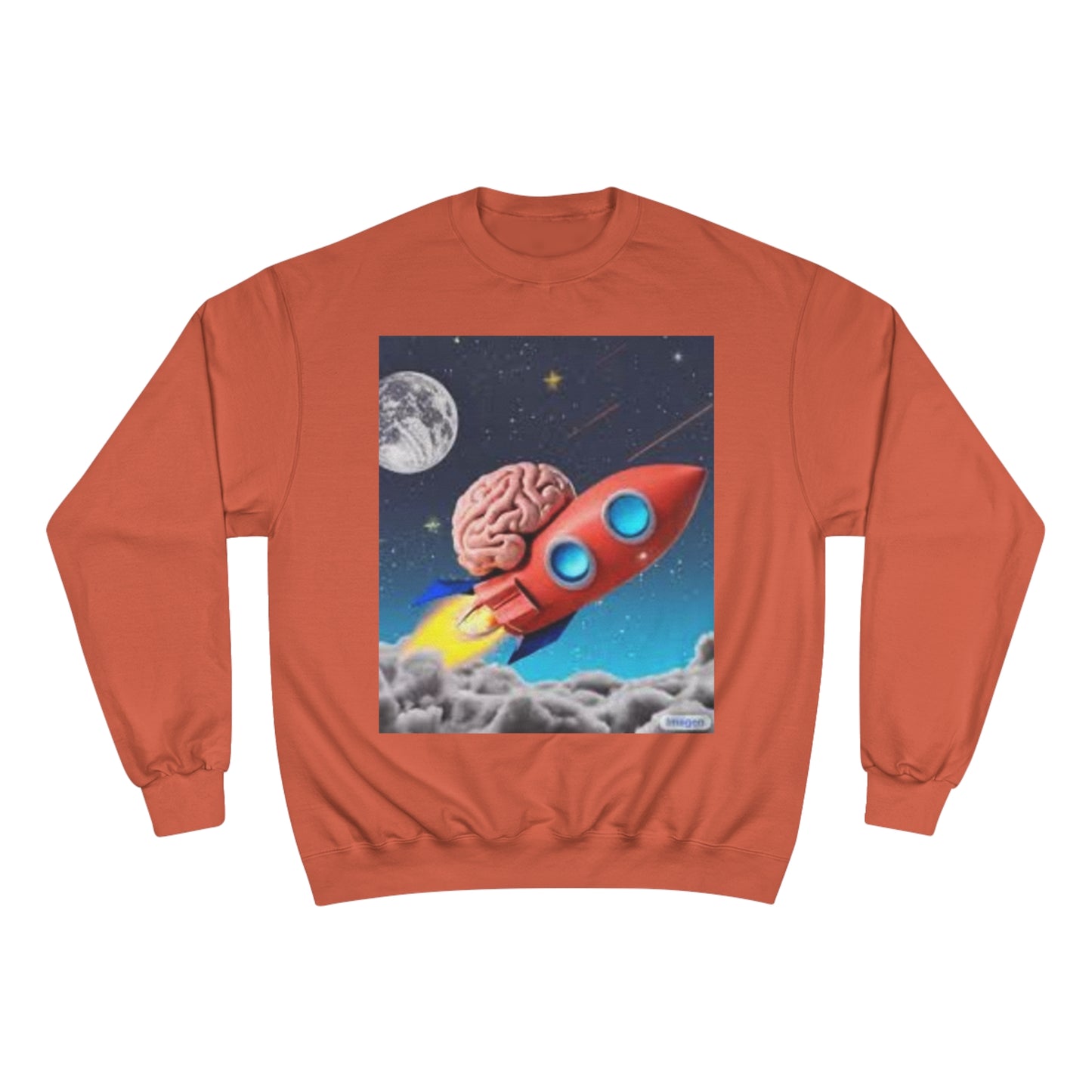 Champion Sweatshirt S93