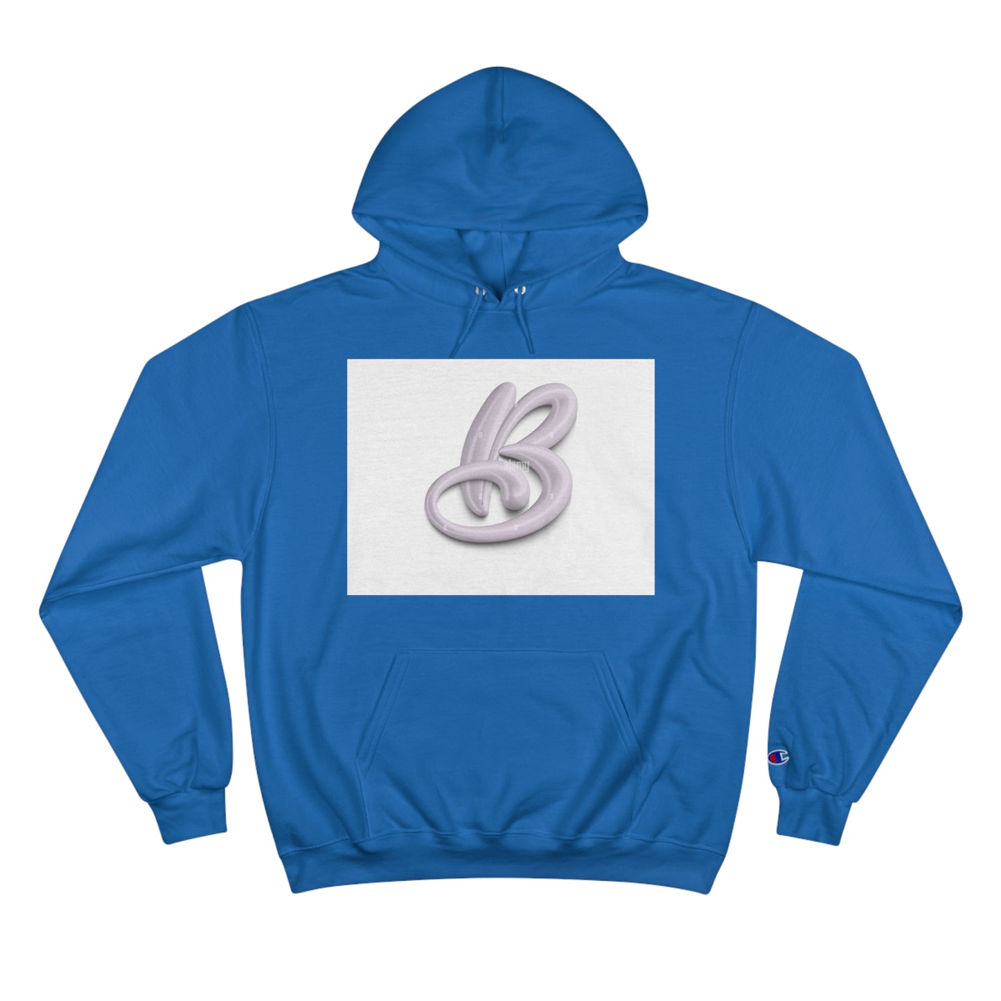 Champion Hoodie S93