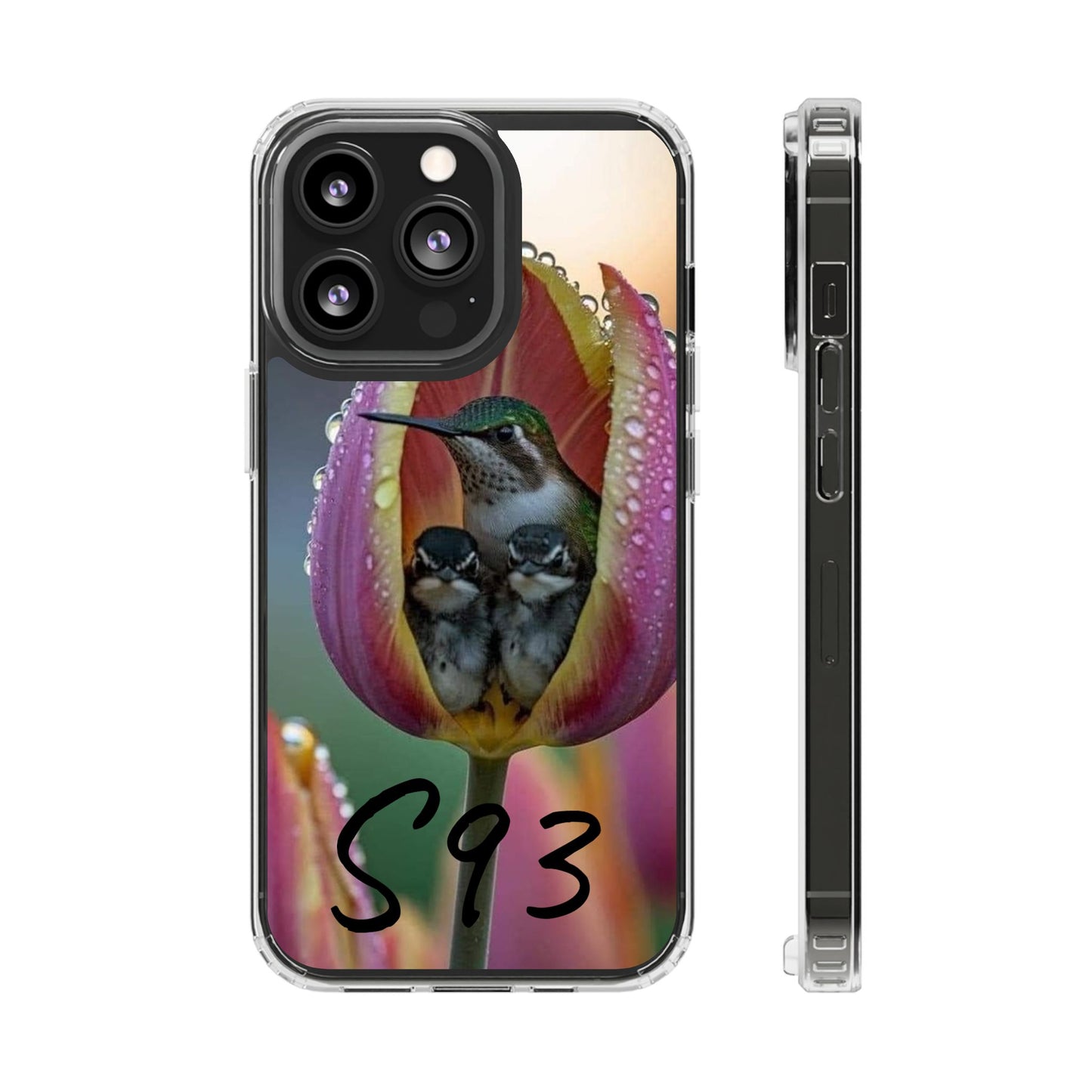 Clear Cases S93