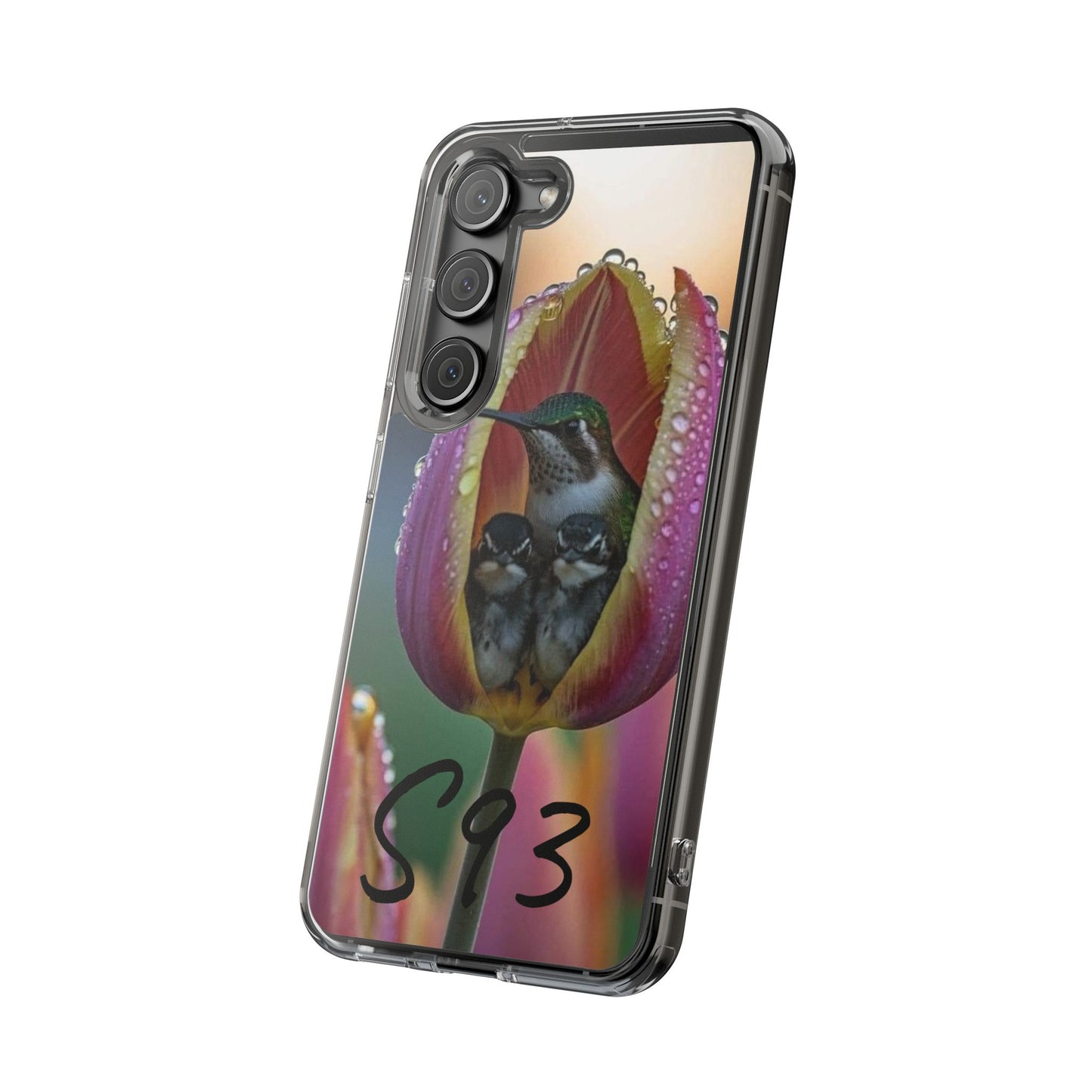 Clear Cases S93