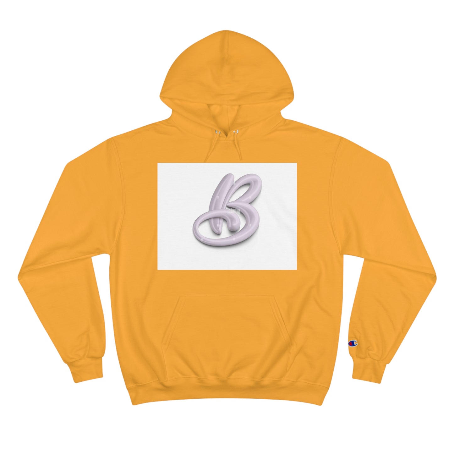 Champion Hoodie S93