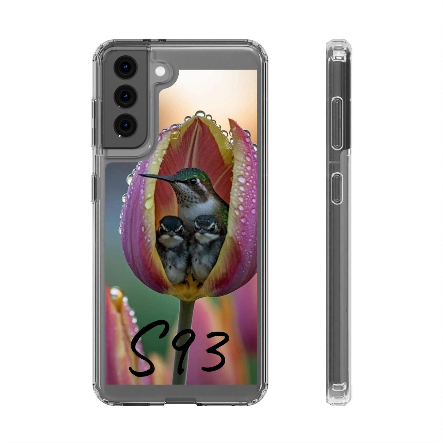 Clear Cases S93