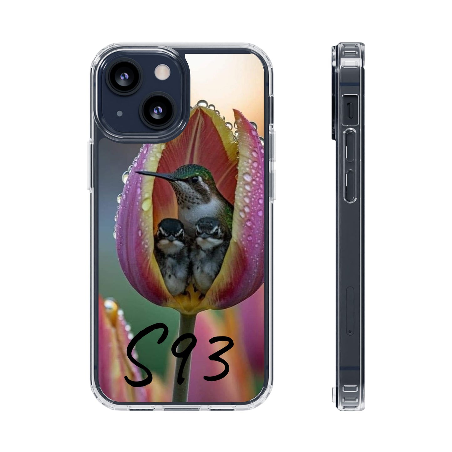 Clear Cases S93