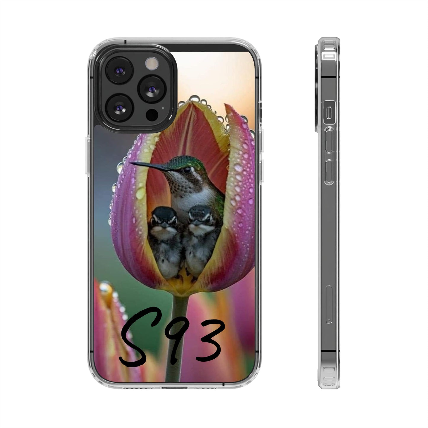 Clear Cases S93