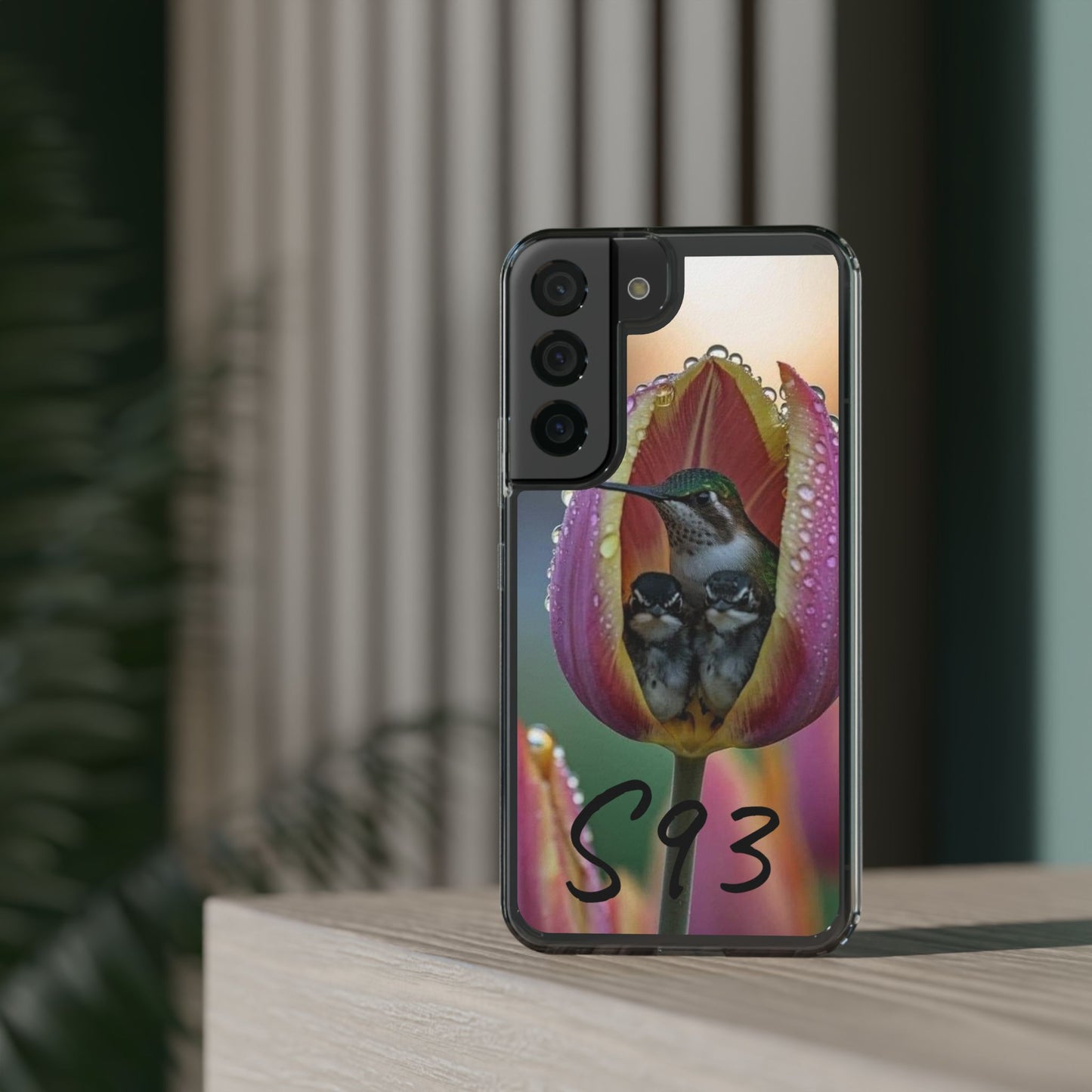 Clear Cases S93