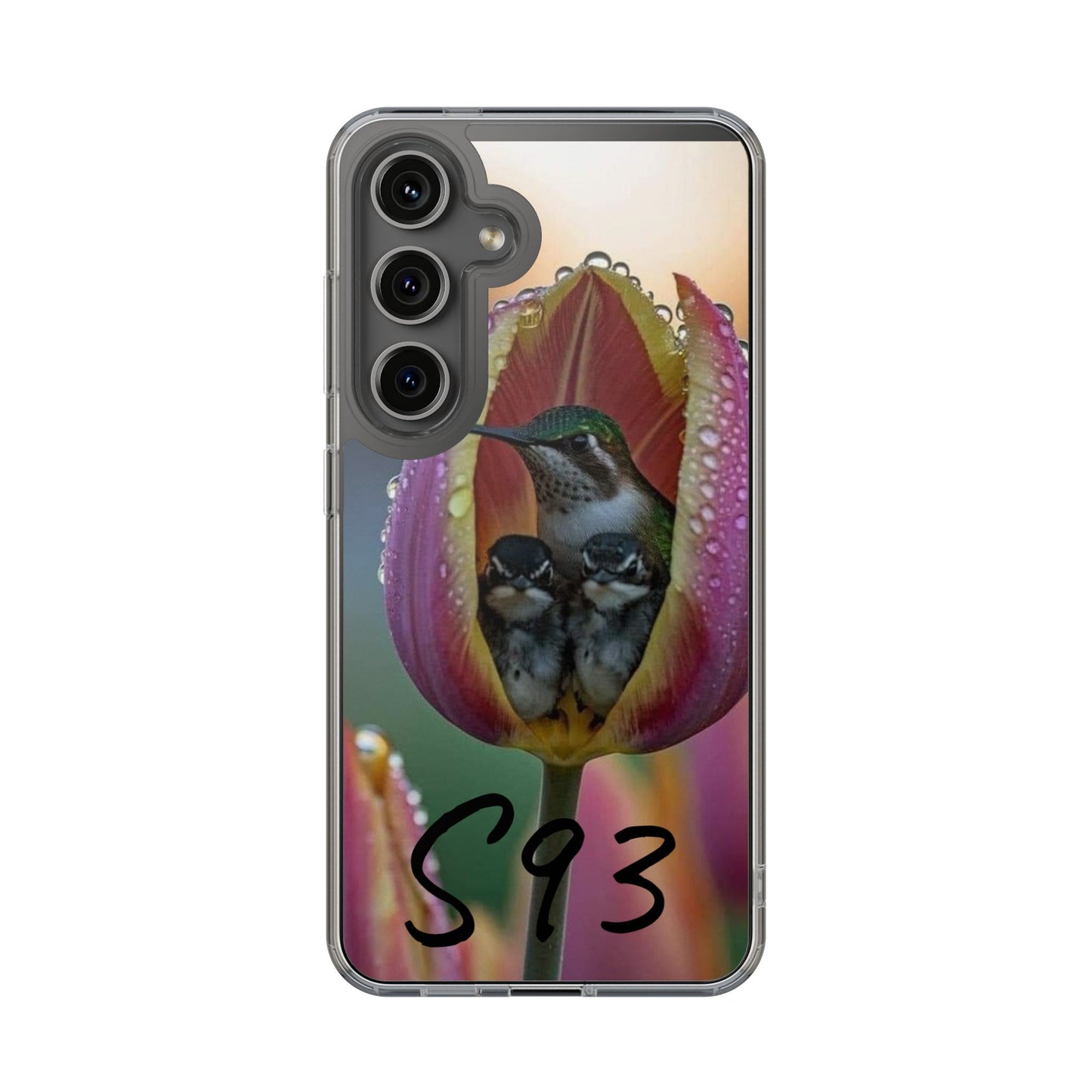 Clear Cases S93