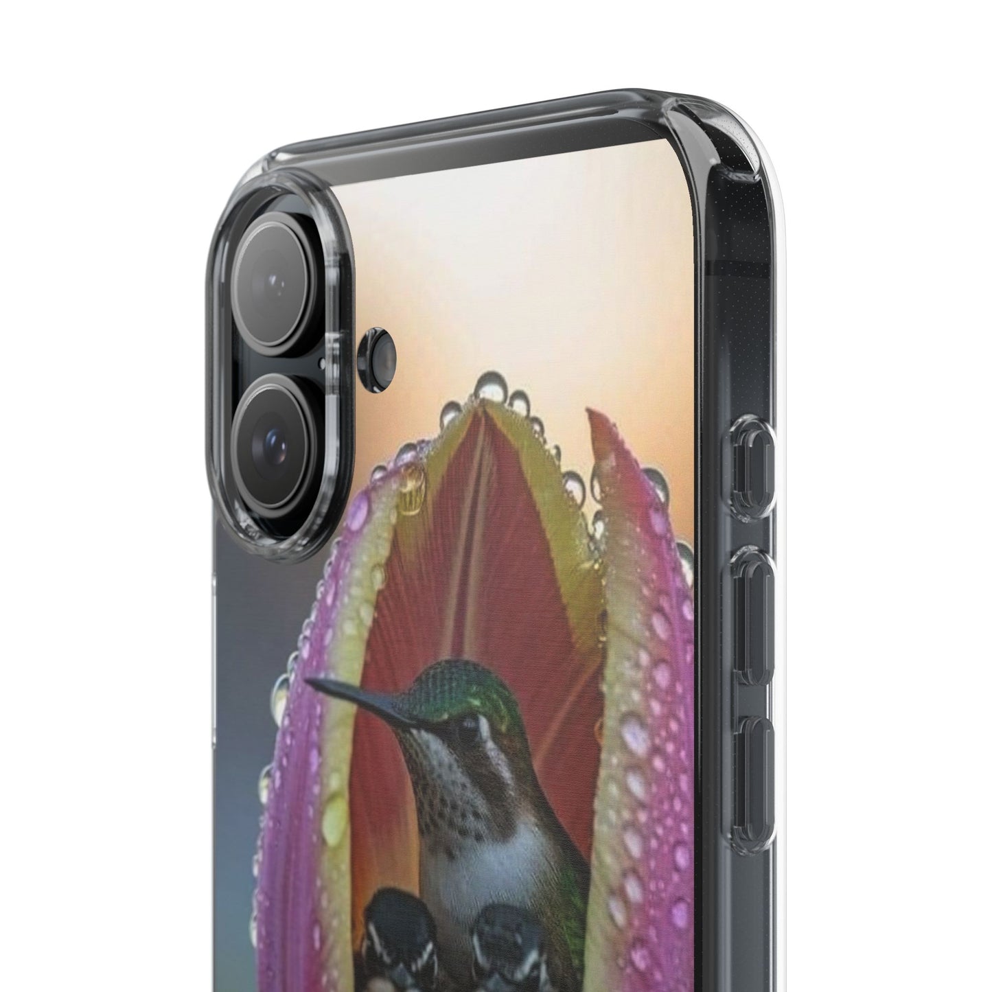Clear Cases S93