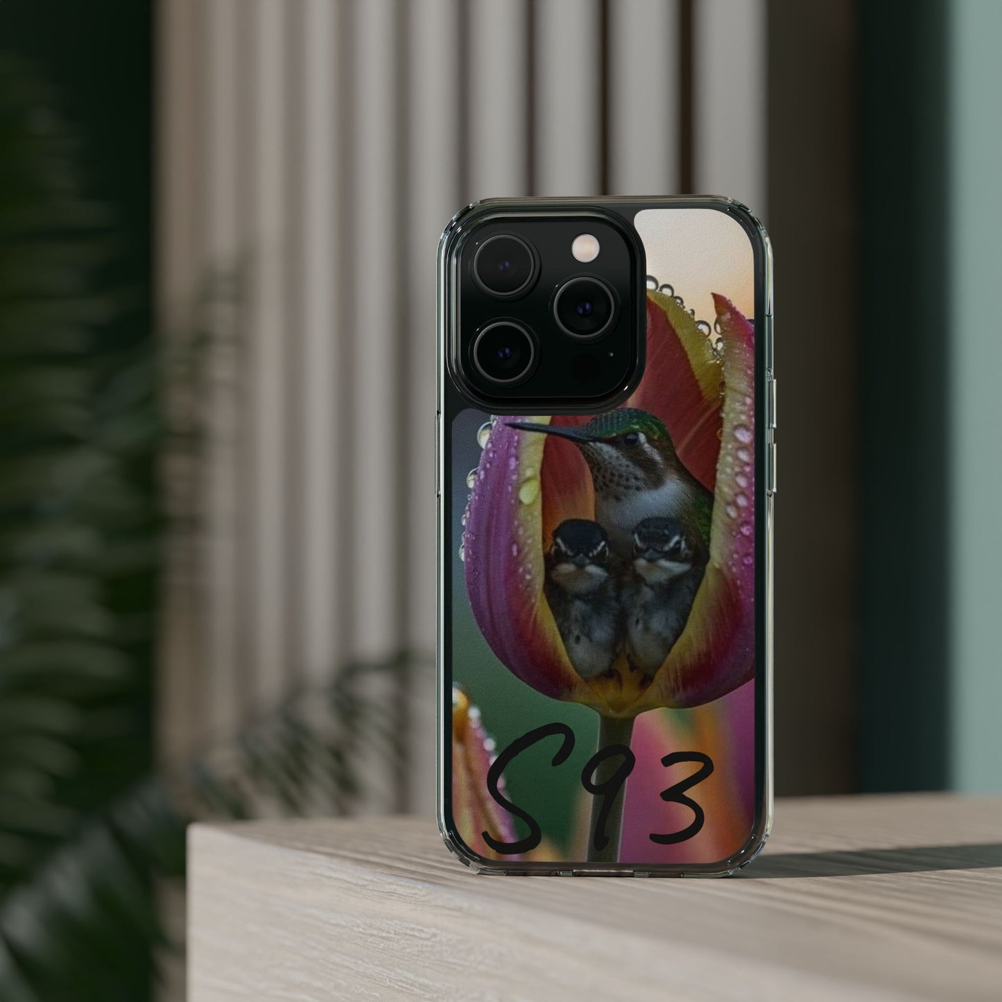 Clear Cases S93