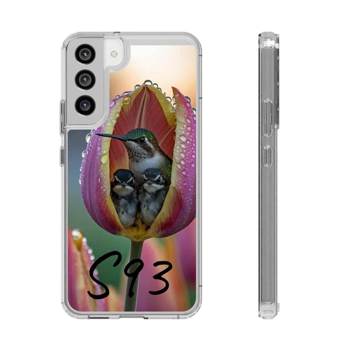 Clear Cases S93