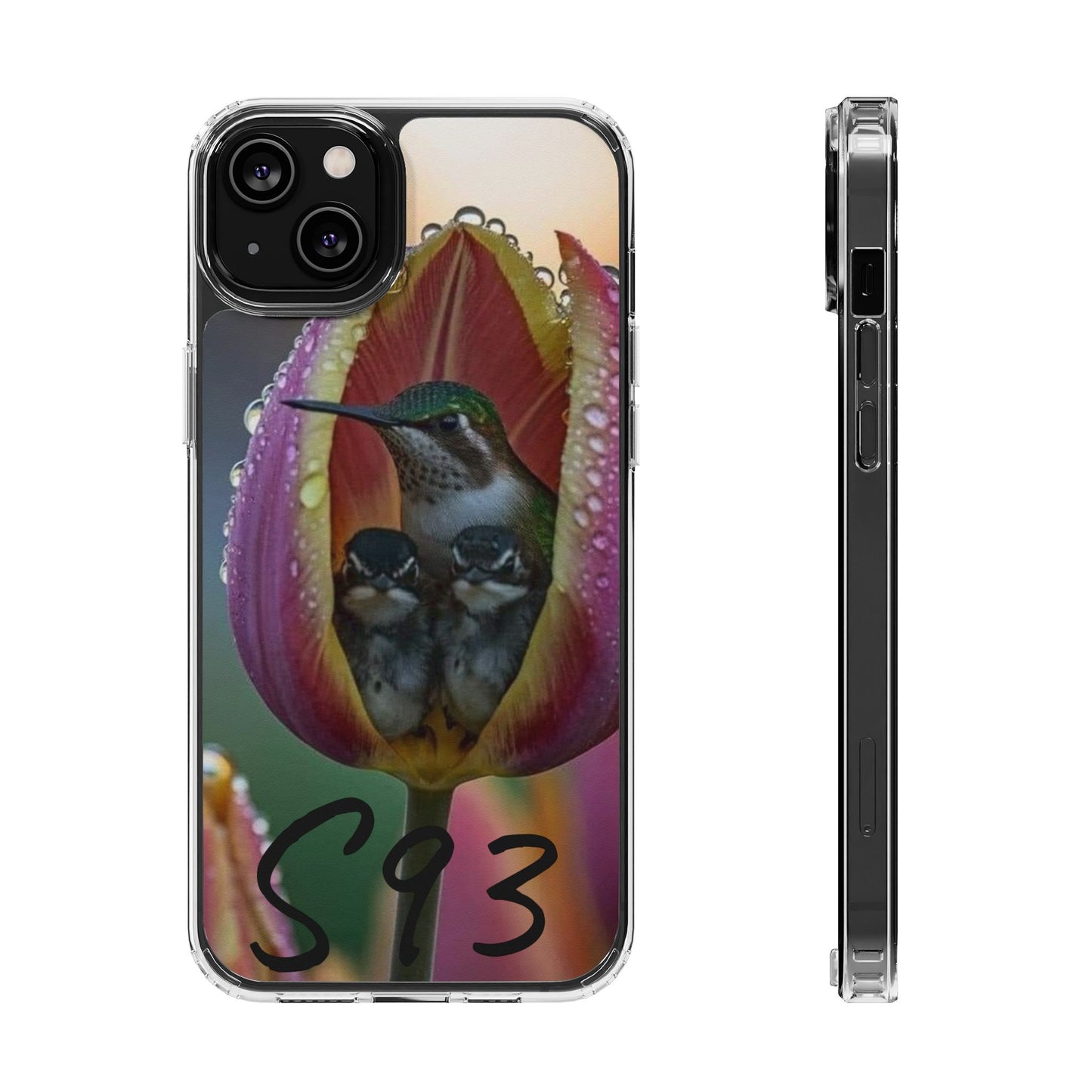 Clear Cases S93