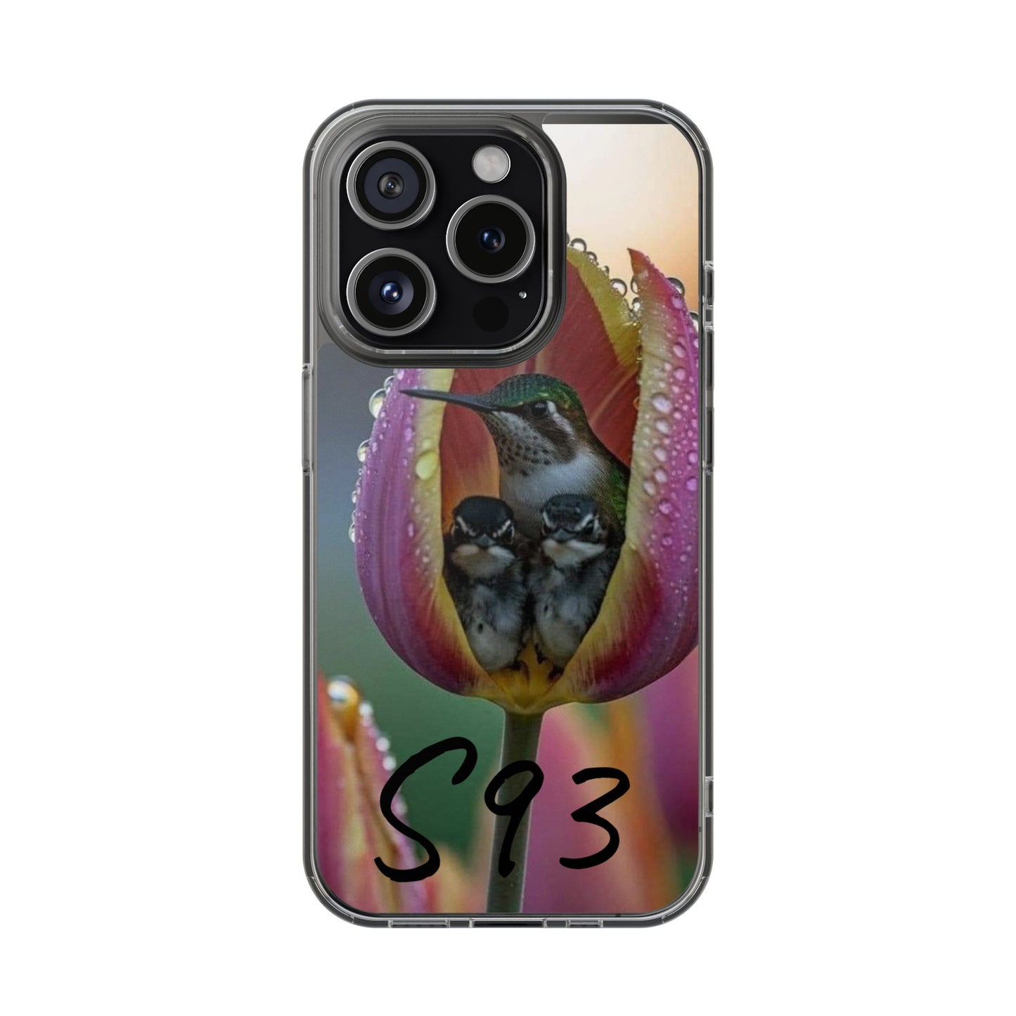 Clear Cases S93