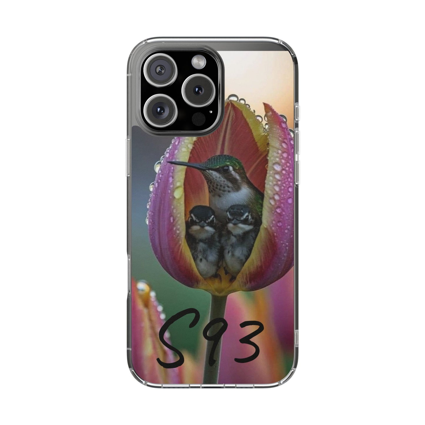 Clear Cases S93