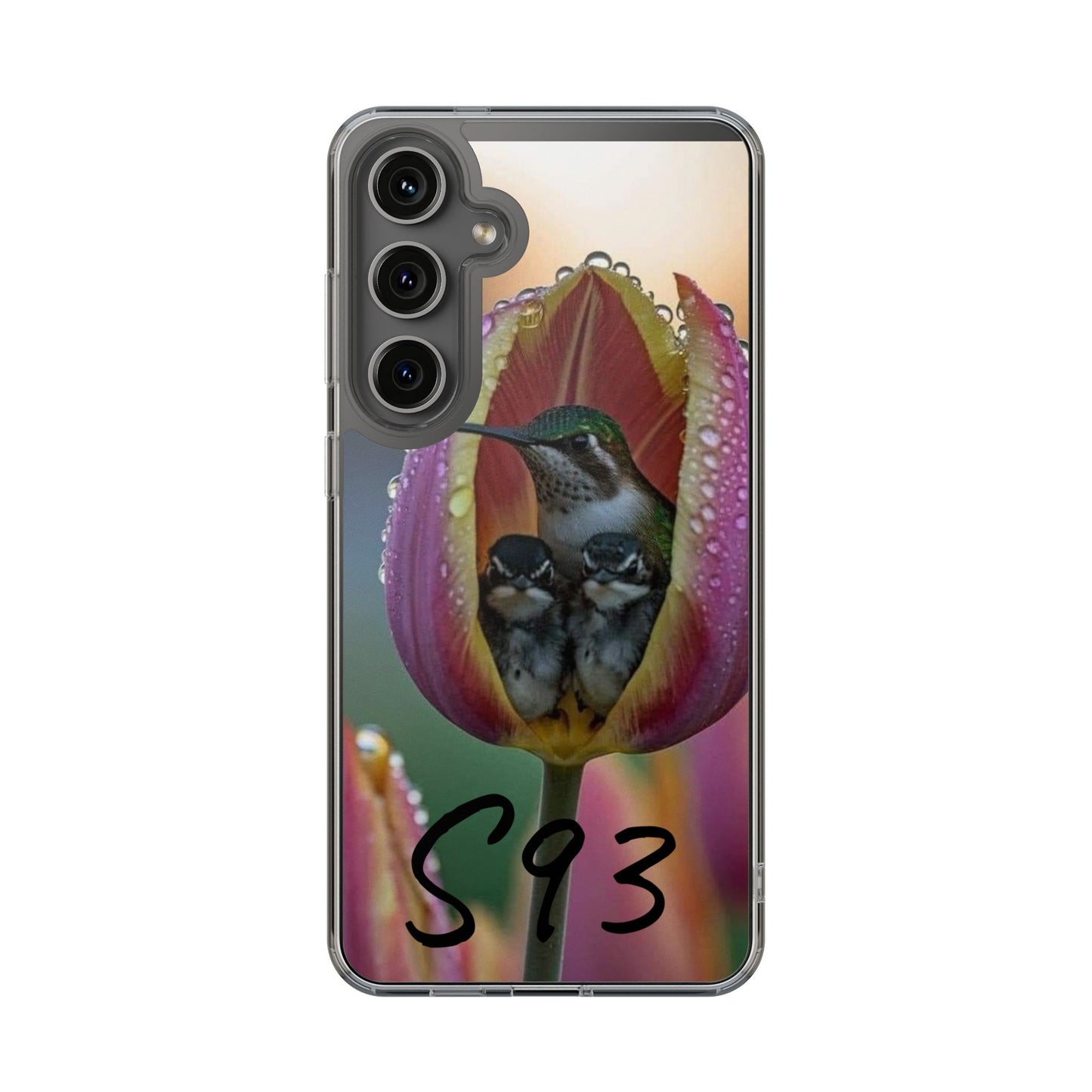 Clear Cases S93