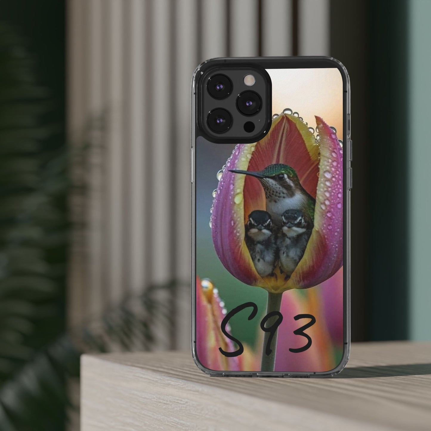 Clear Cases S93