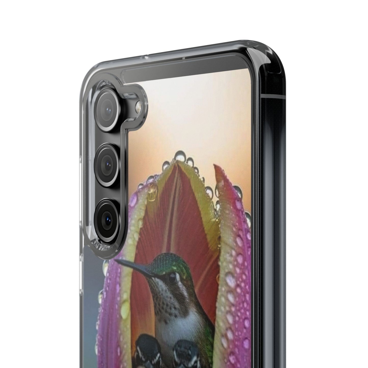 Clear Cases S93