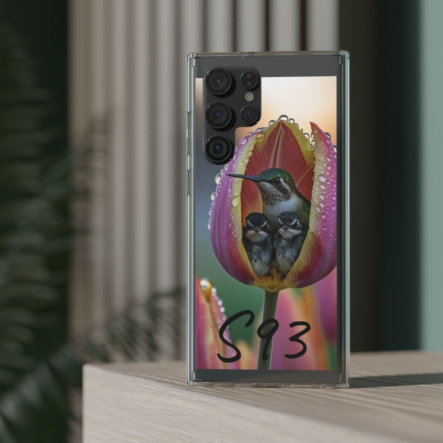 Clear Cases S93