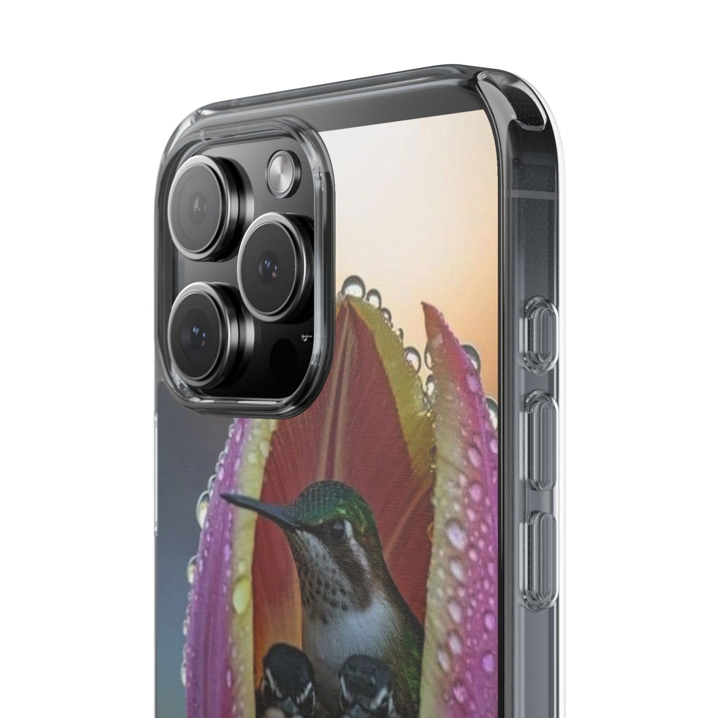 Clear Cases S93