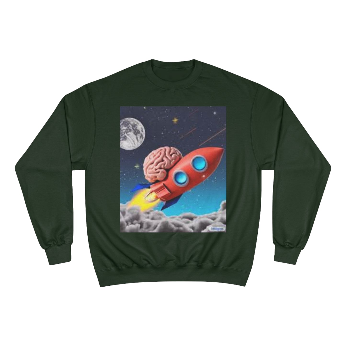 Champion Sweatshirt S93