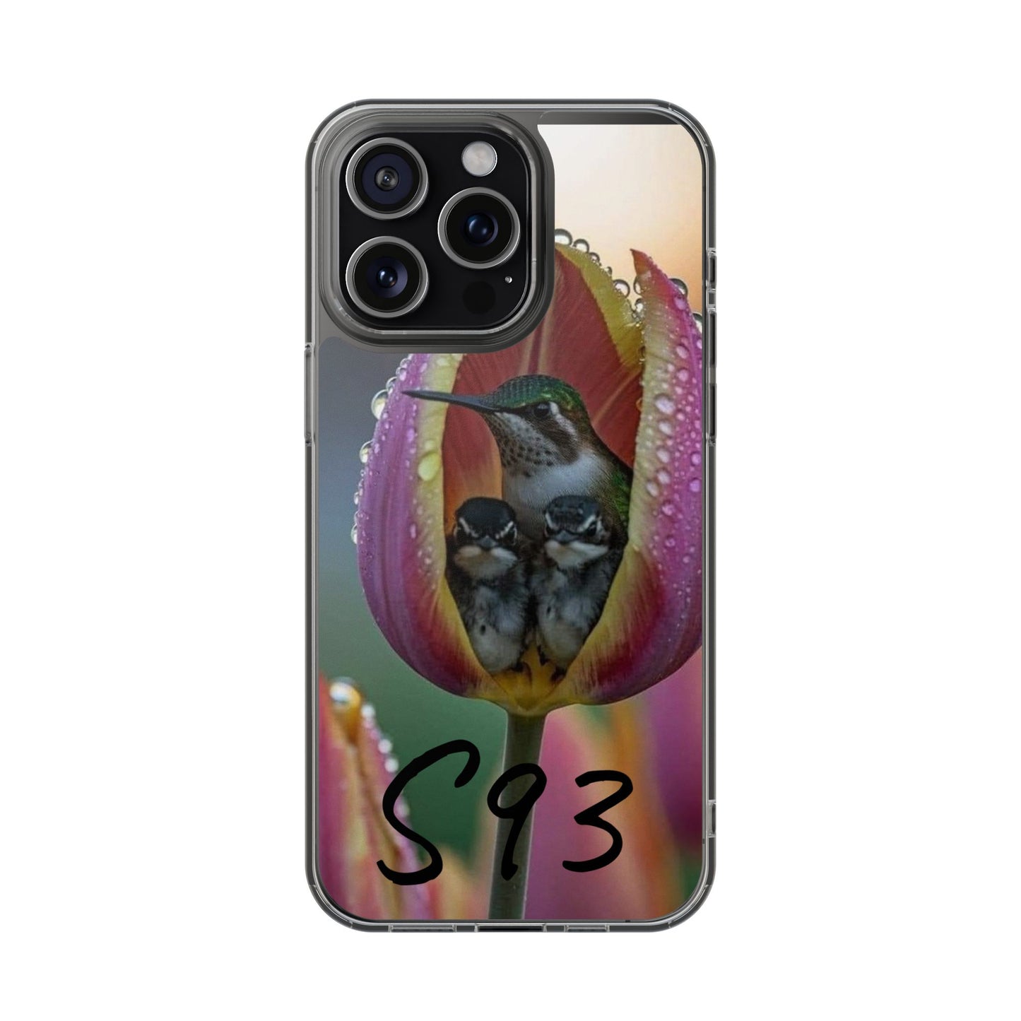 Clear Cases S93