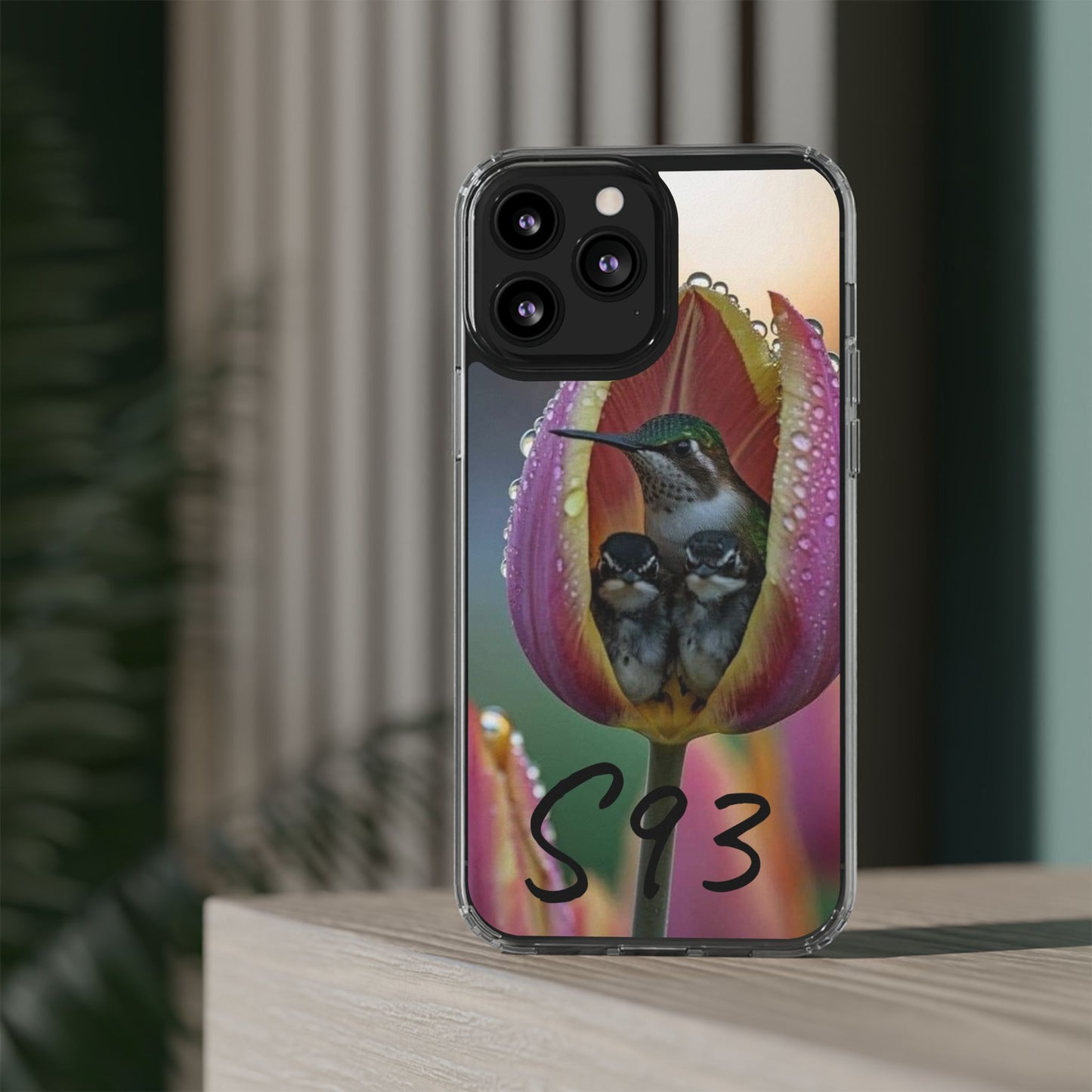 Clear Cases S93