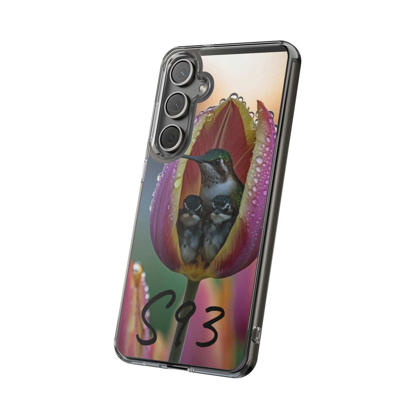 Clear Cases S93