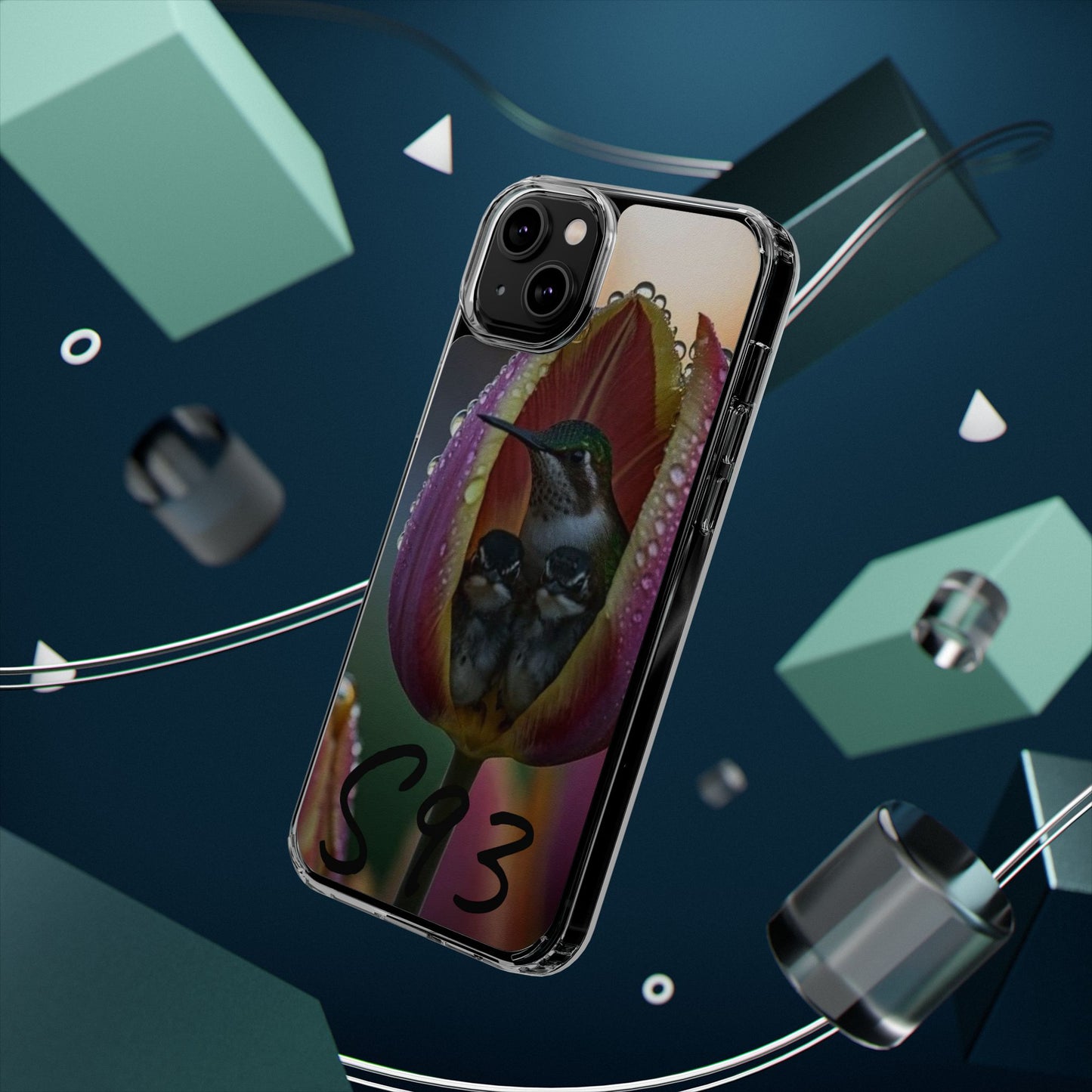 Clear Cases S93