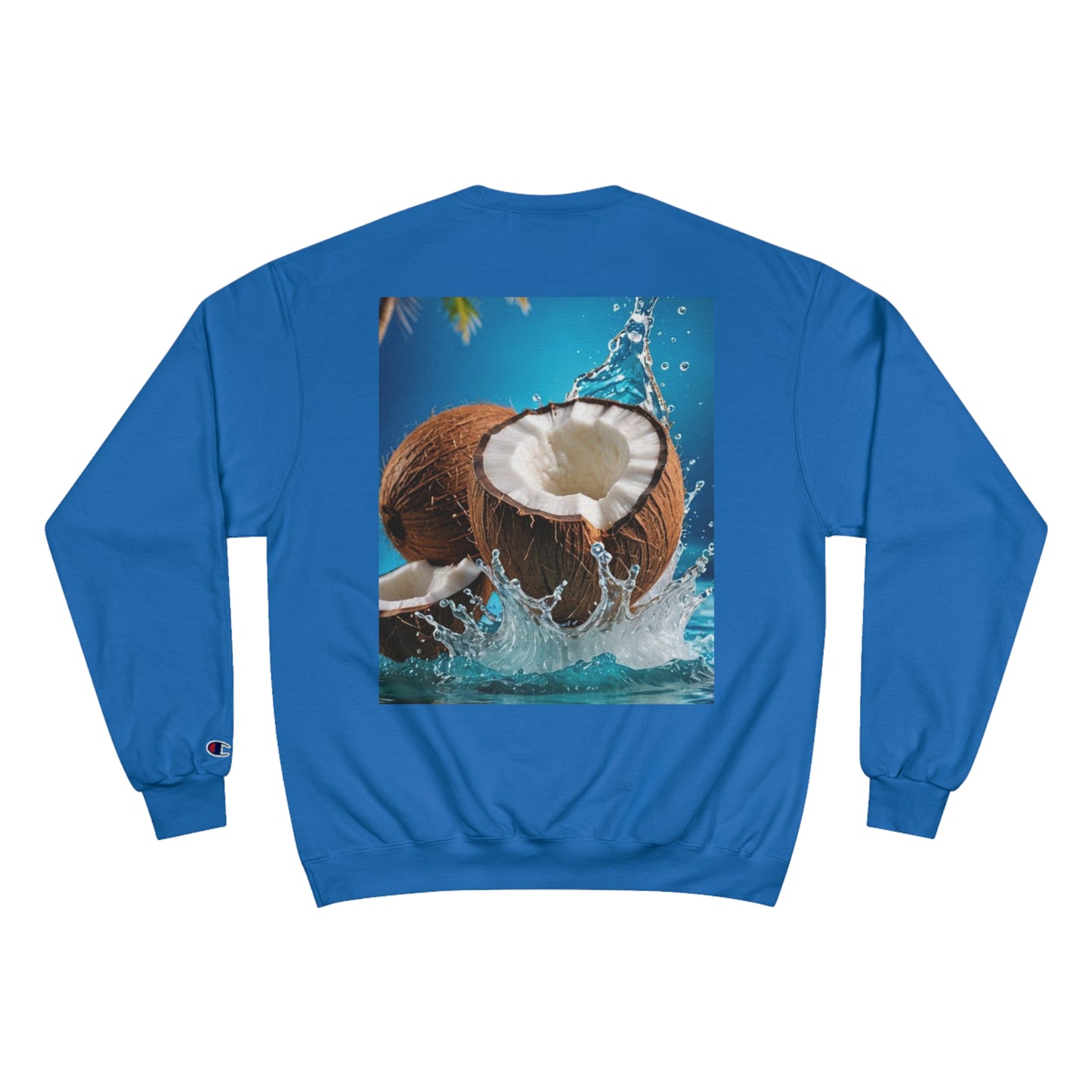 Champion Sweatshirt SUD93