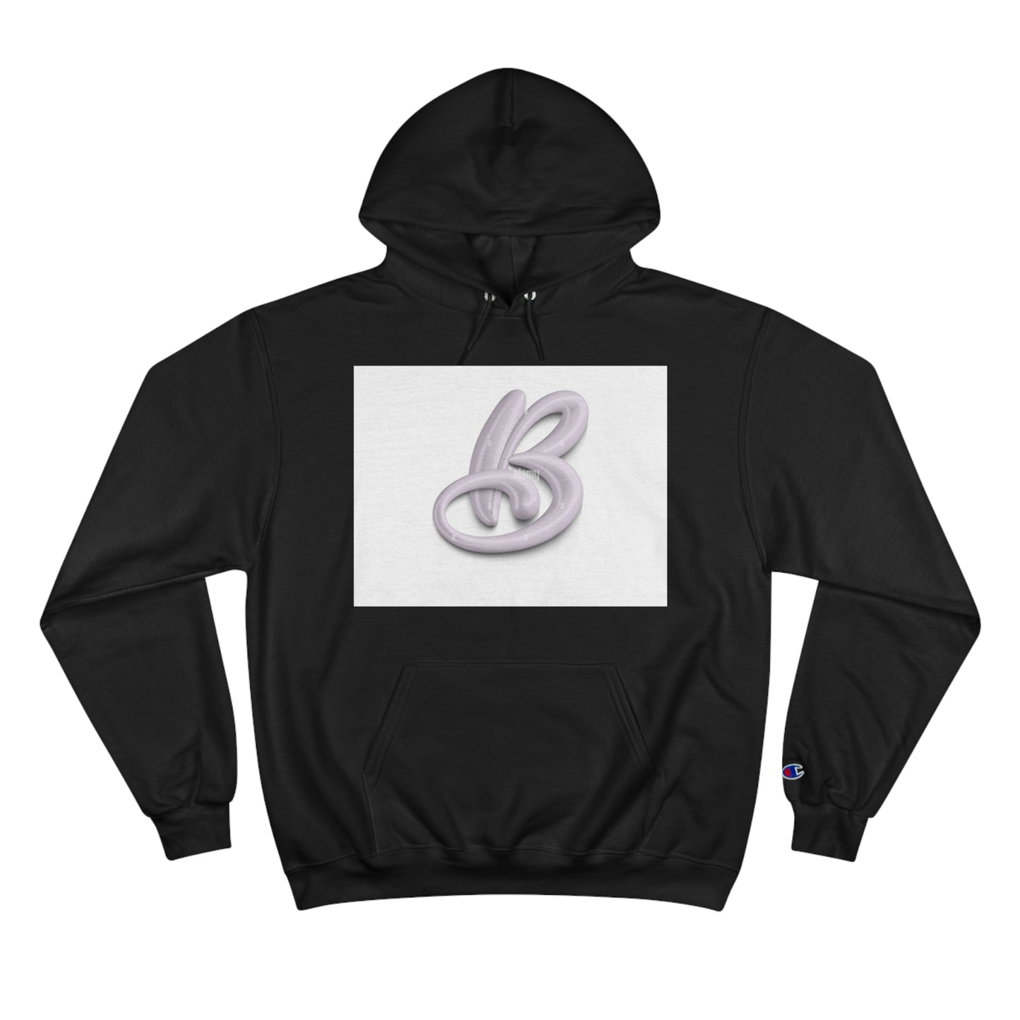 Champion Hoodie S93