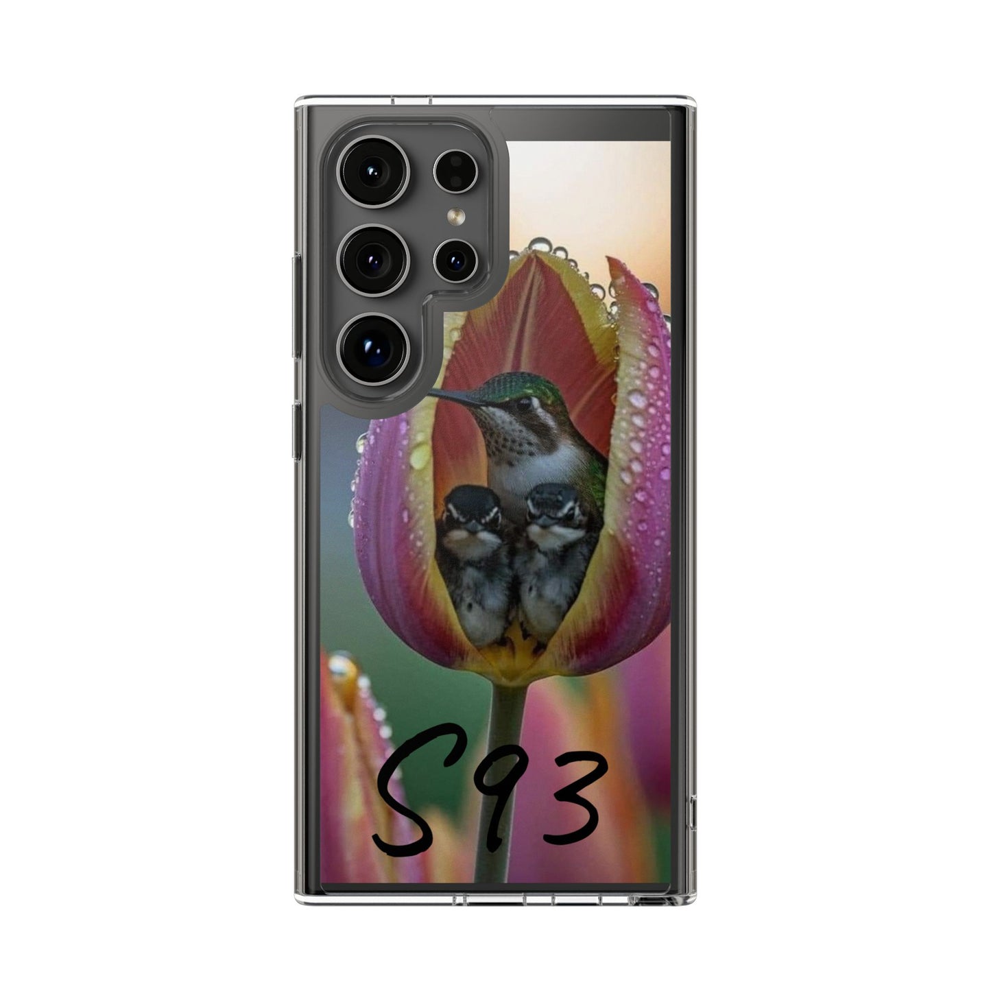 Clear Cases S93