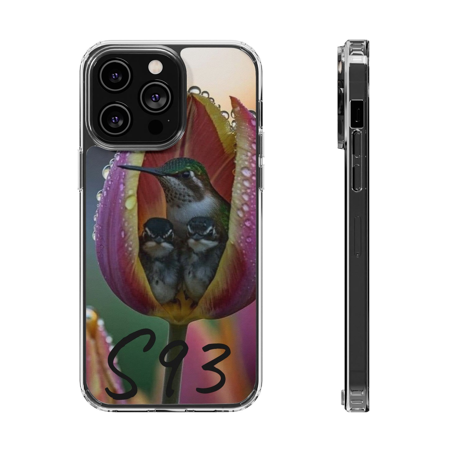 Clear Cases S93