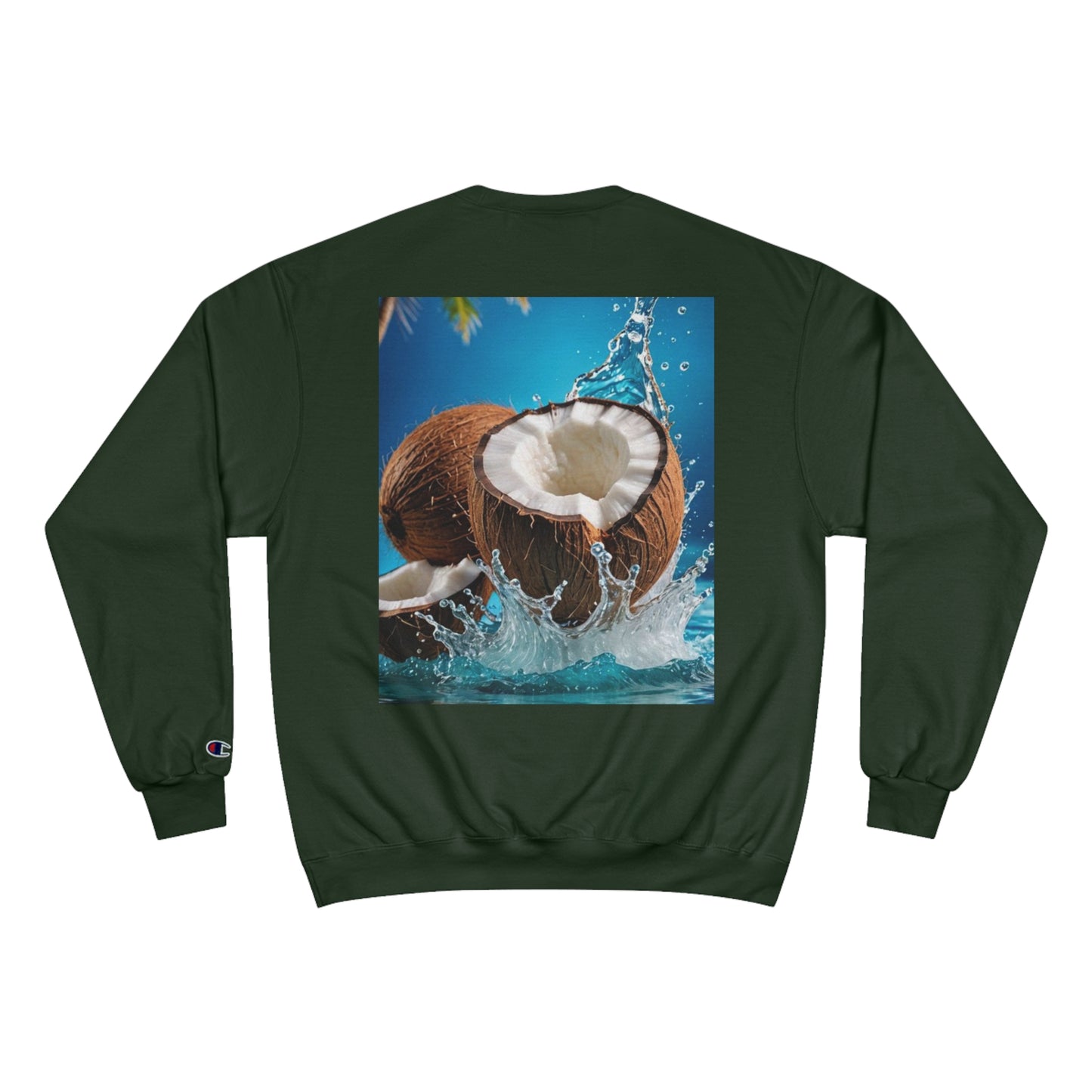 Champion Sweatshirt SUD93