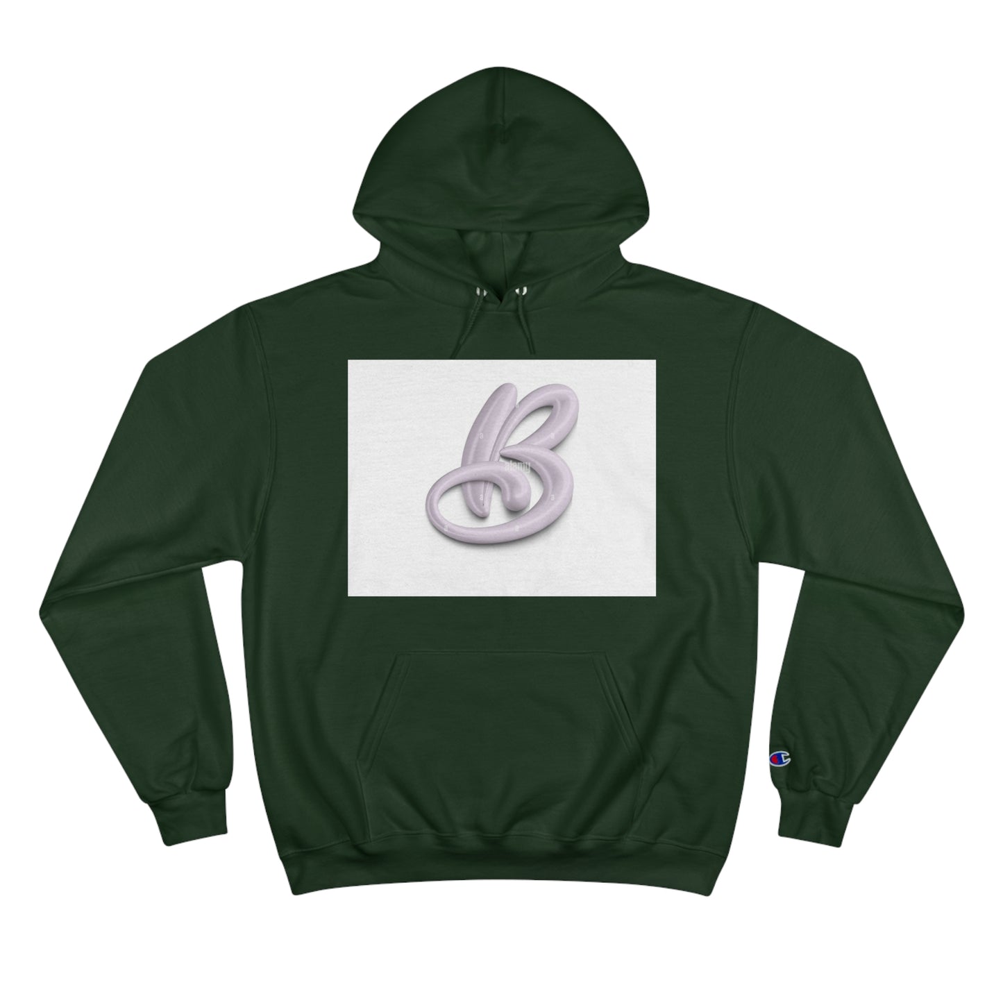 Champion Hoodie S93