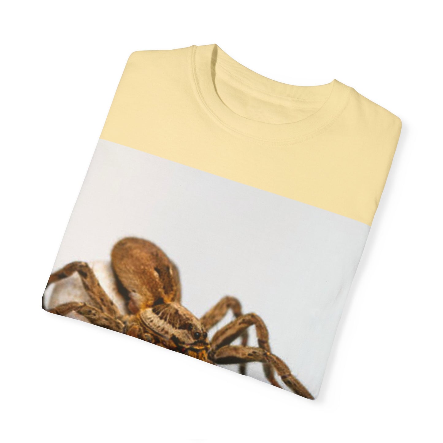 Unisex Garment-Dyed T-shirt S93