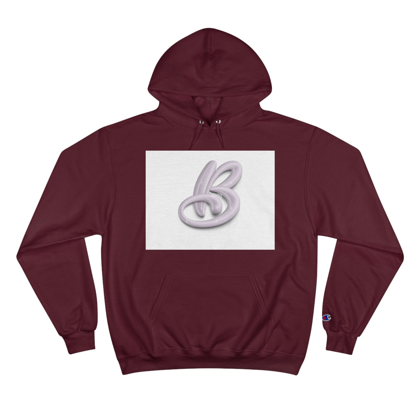Champion Hoodie S93