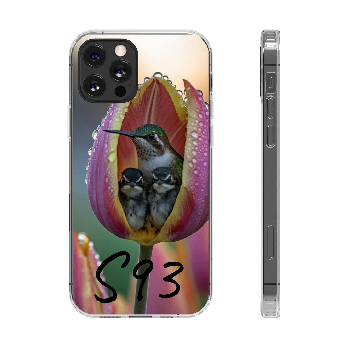 Clear Cases S93