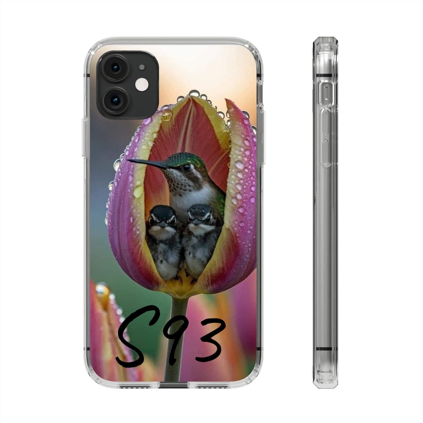 Clear Cases S93