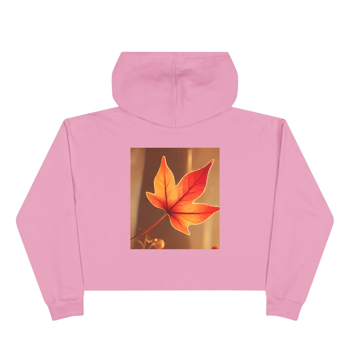 Crop Hoodie S93