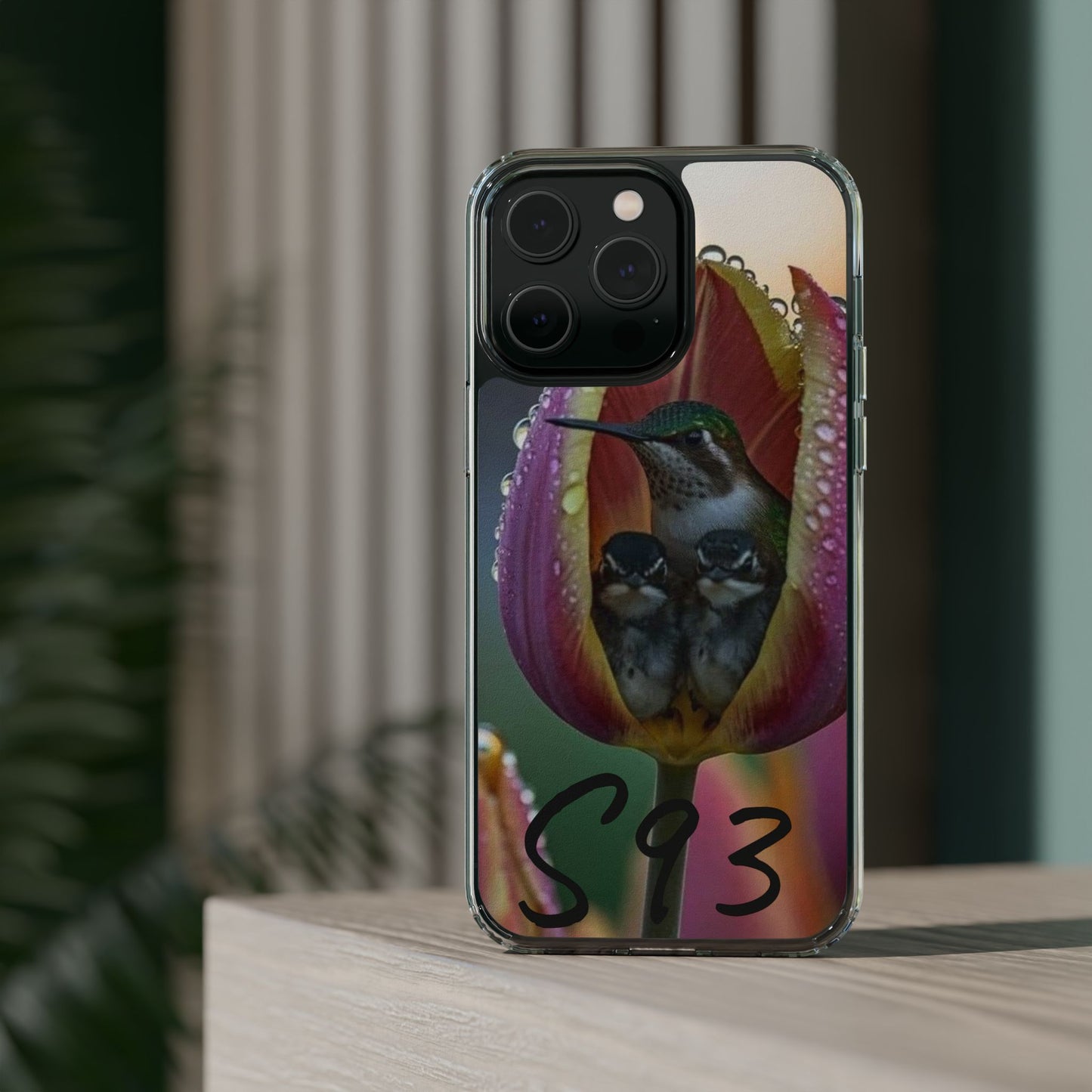 Clear Cases S93