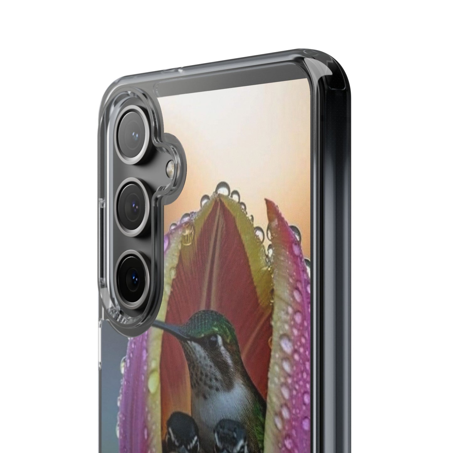Clear Cases S93