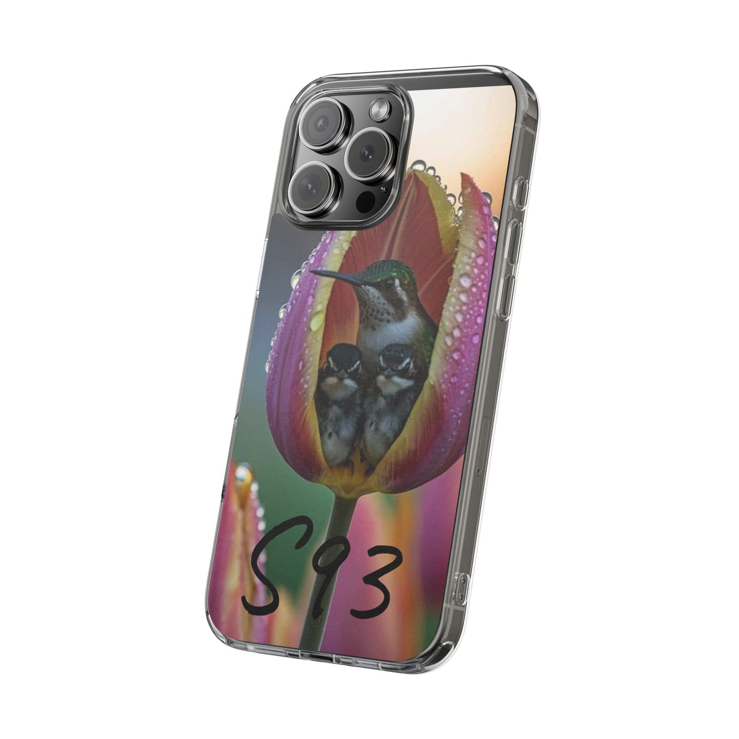 Clear Cases S93