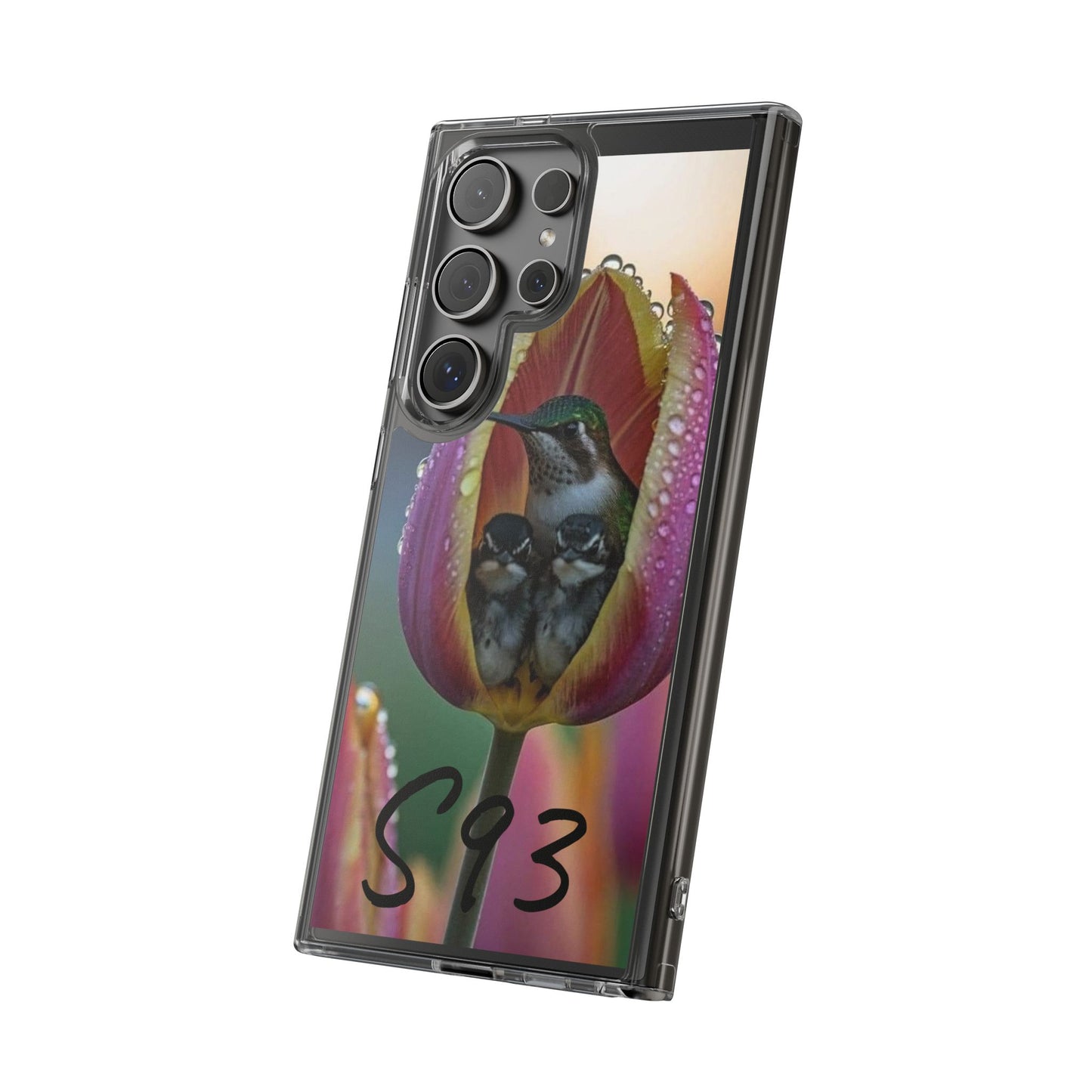 Clear Cases S93