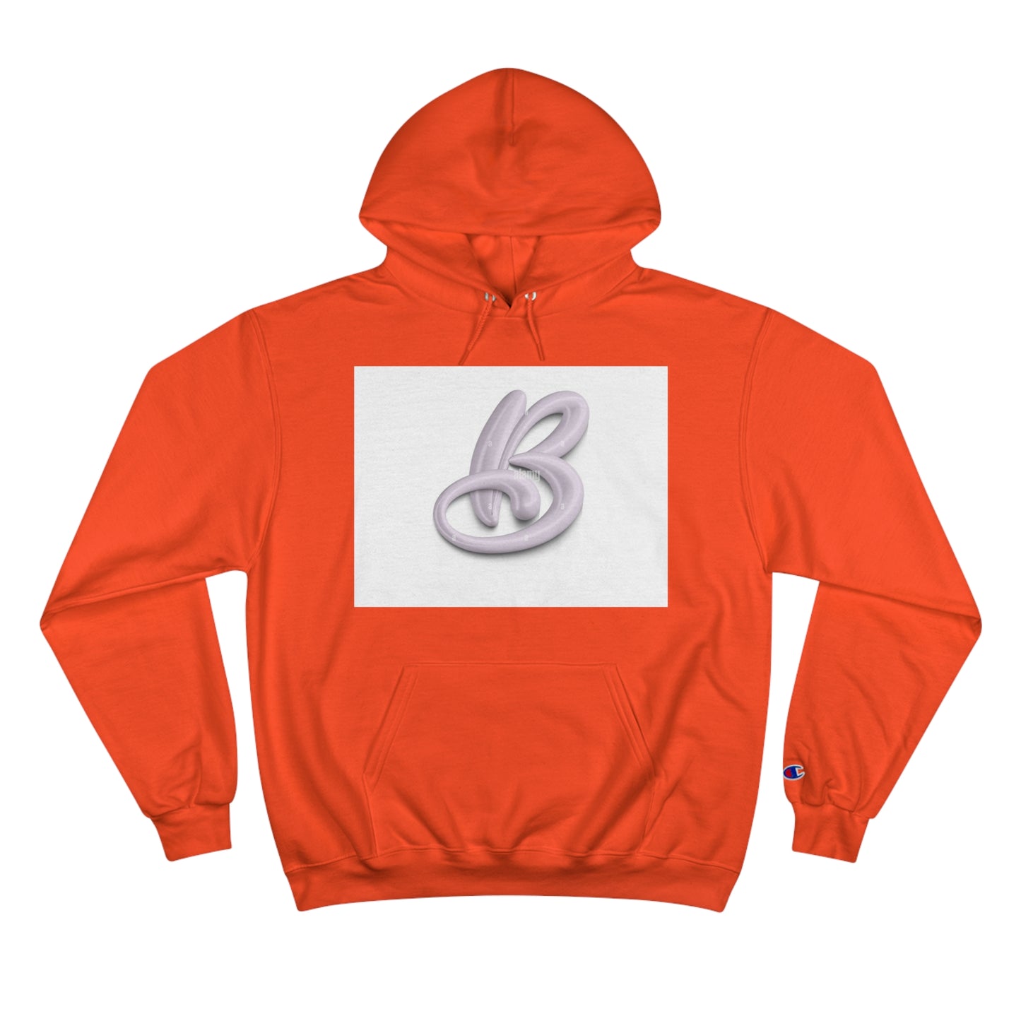 Champion Hoodie S93